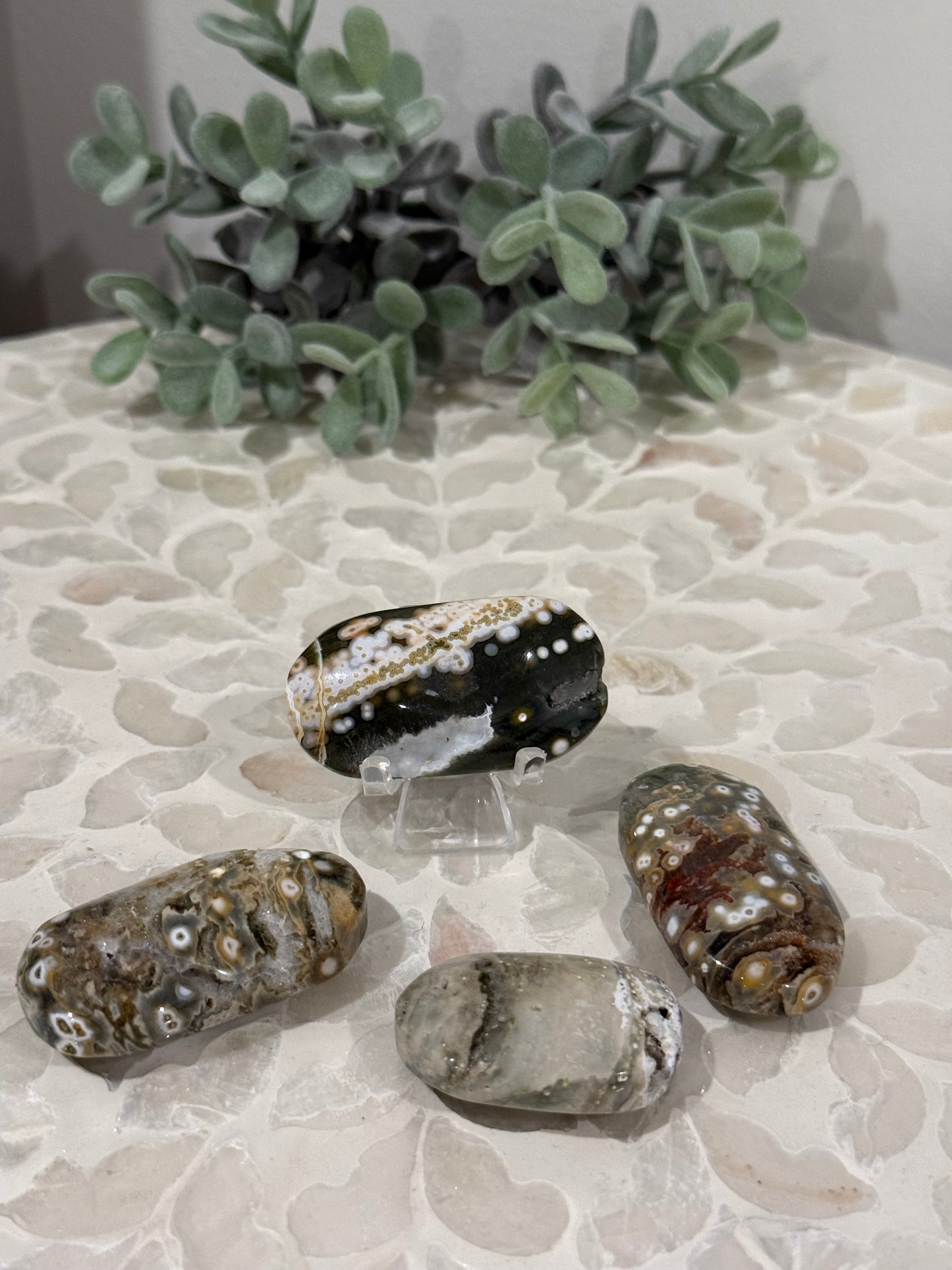 Orbicular Ocean Jasper