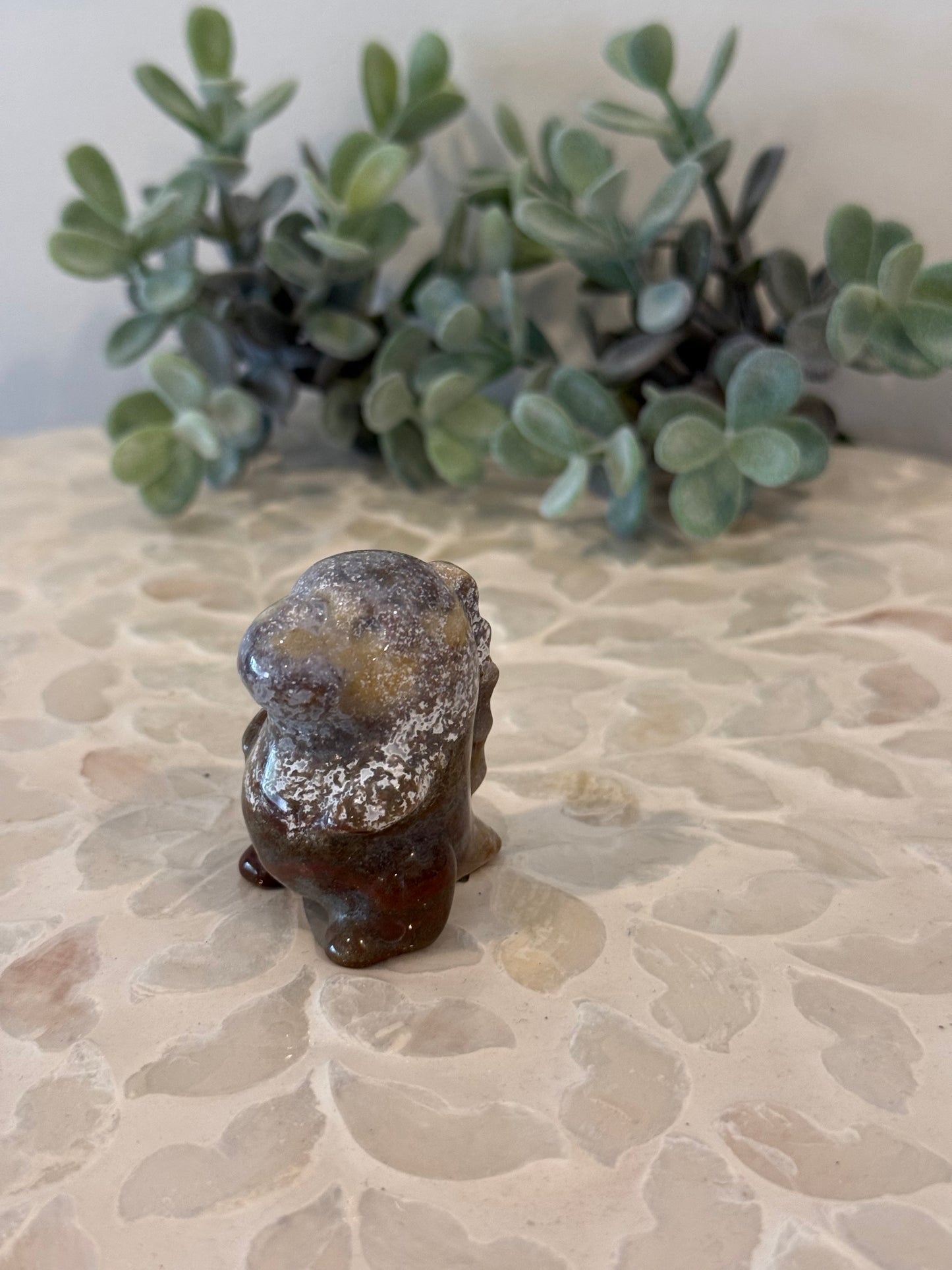 Ocean Jasper Chubby Dinos