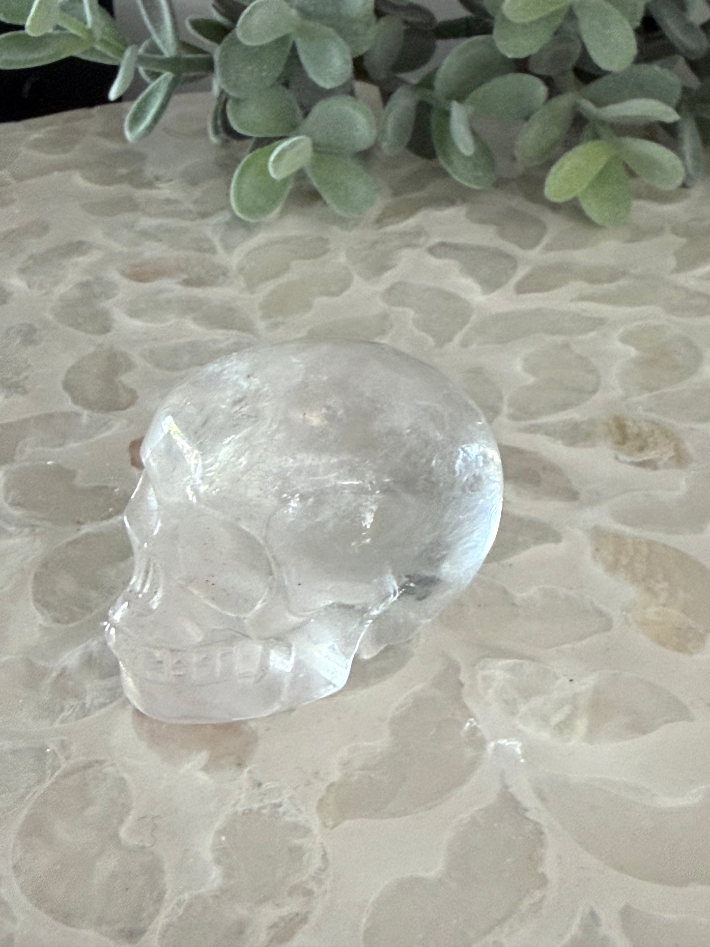 Clear Quartz Skull