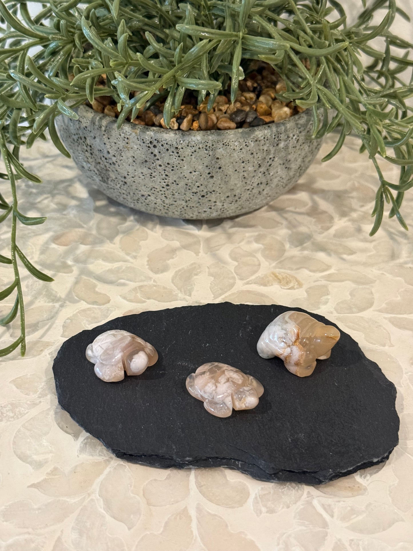 Flower Agate Turtle - Mini
