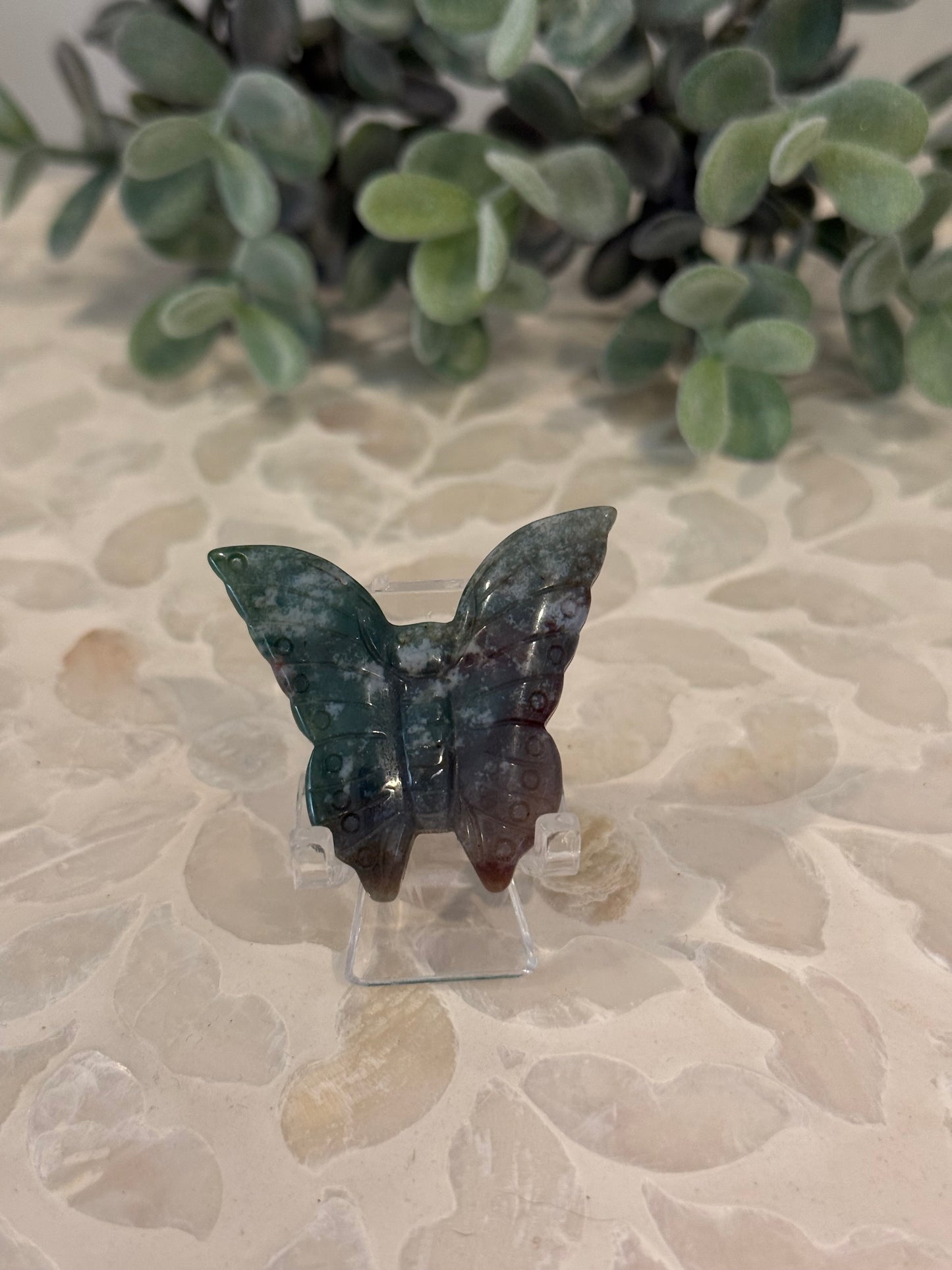 Ocean Jasper Butterfly