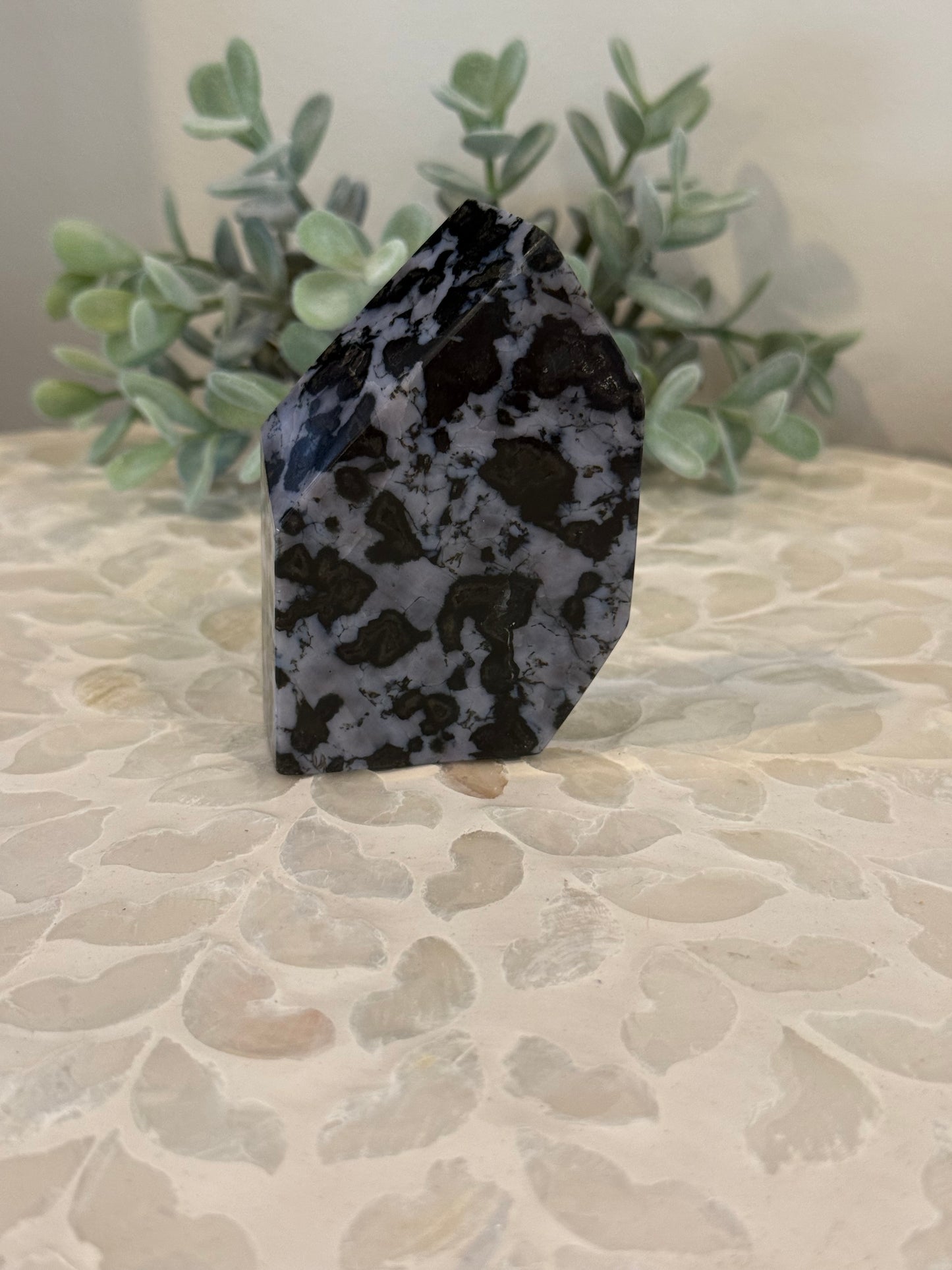 Mystic Merlinite Freeform - Indigo Gabbro