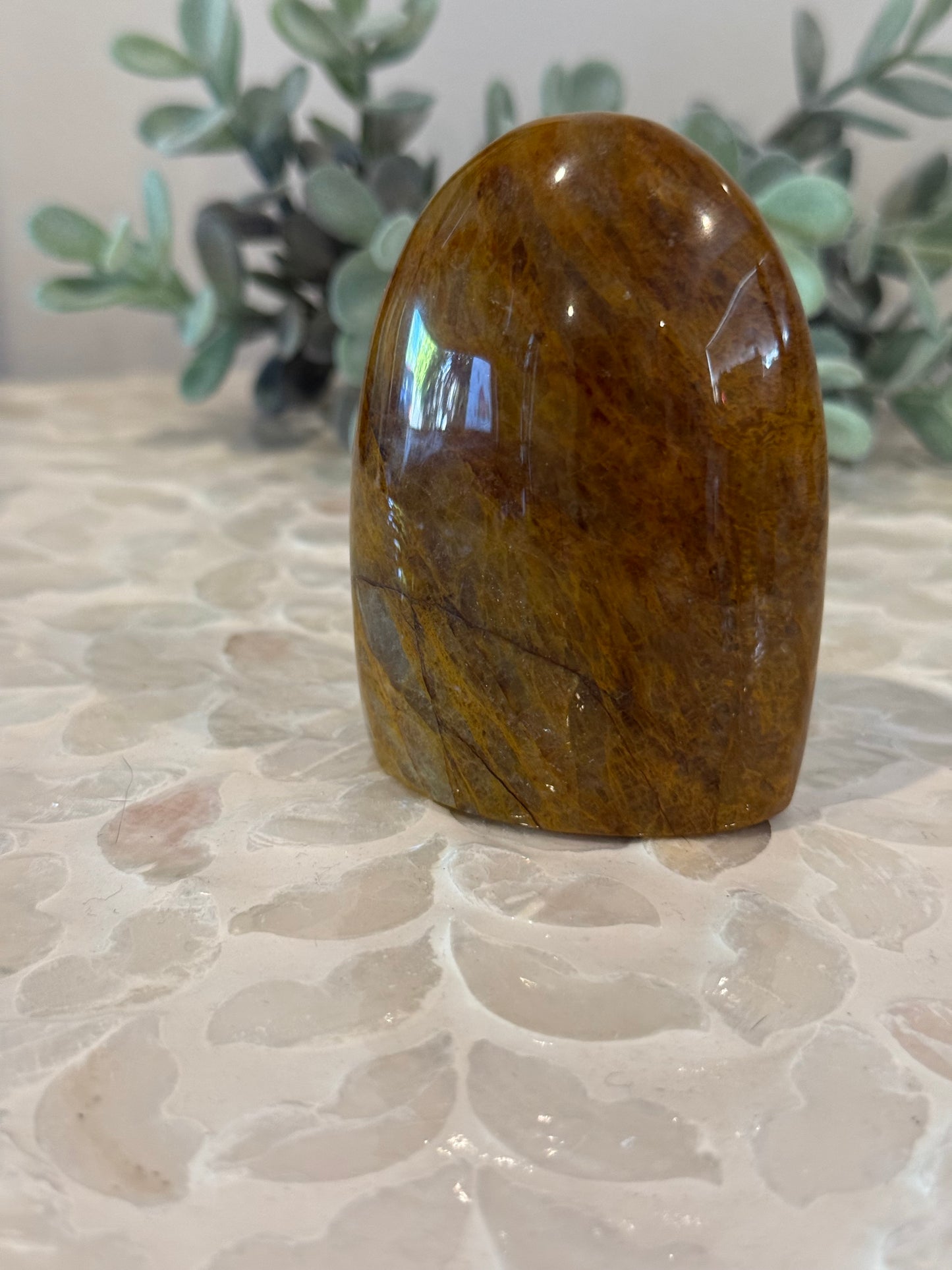 Golden Healer Freeform