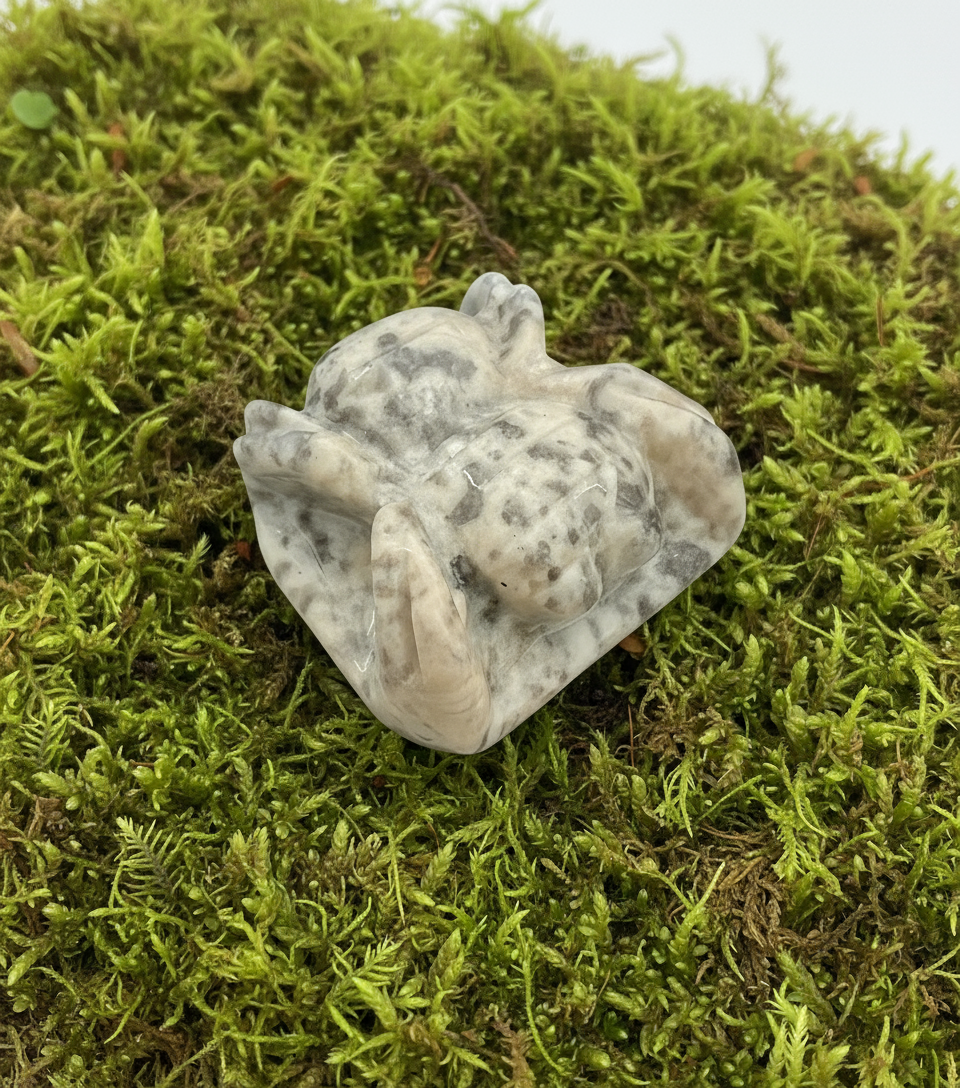 Crazy Lace Agate Spiders