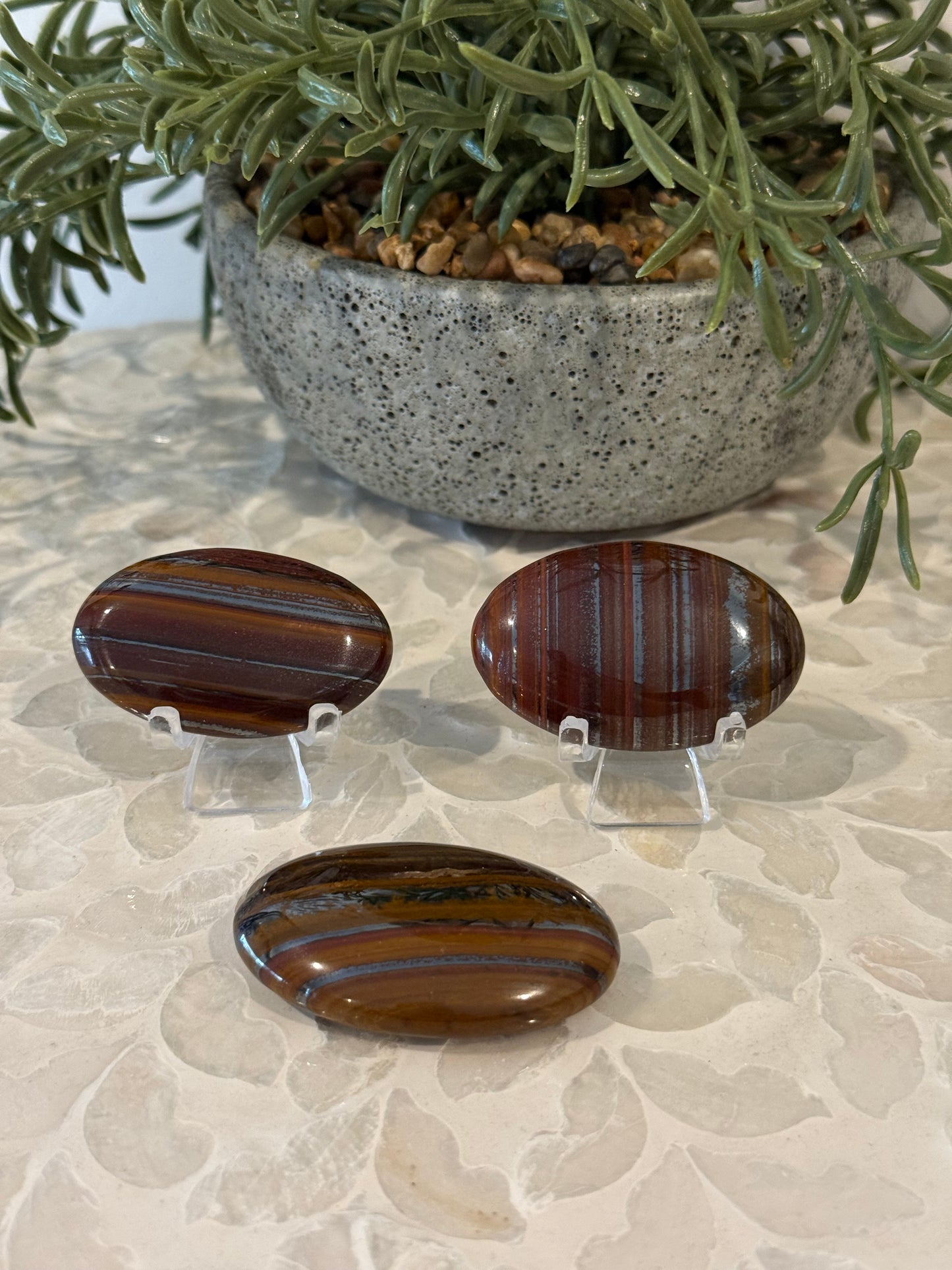 Tiger Iron Palm Stone