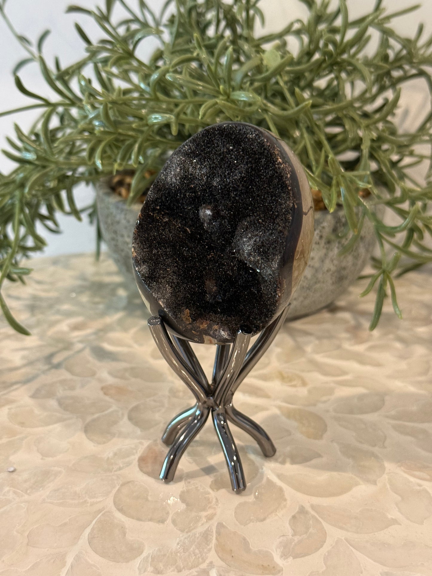 Septarian Egg with Stand