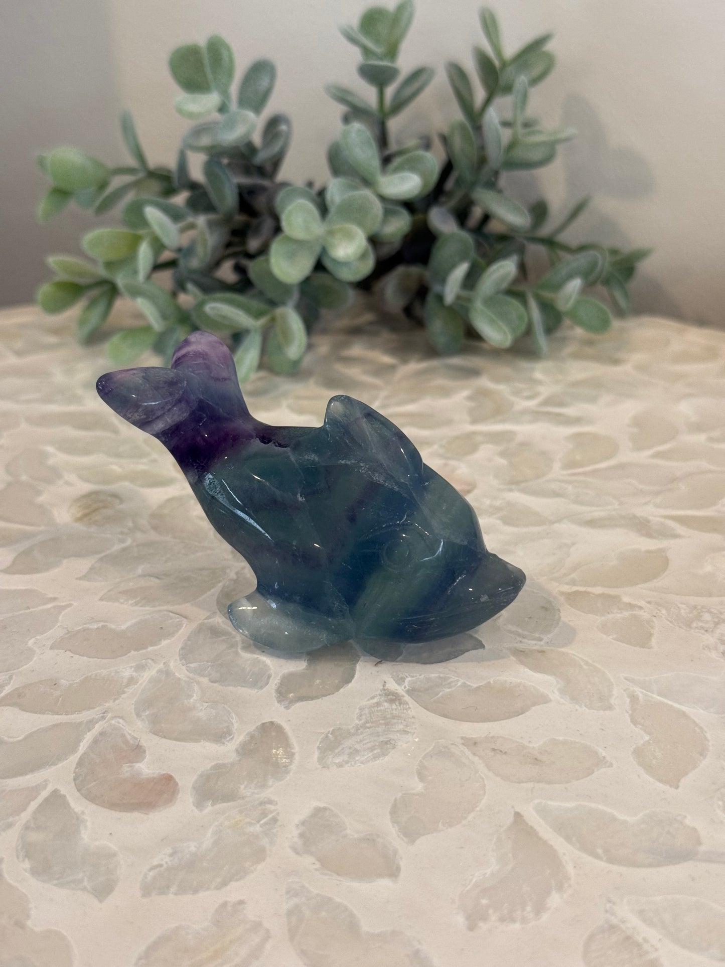 Rainbow Fluorite Dolphin