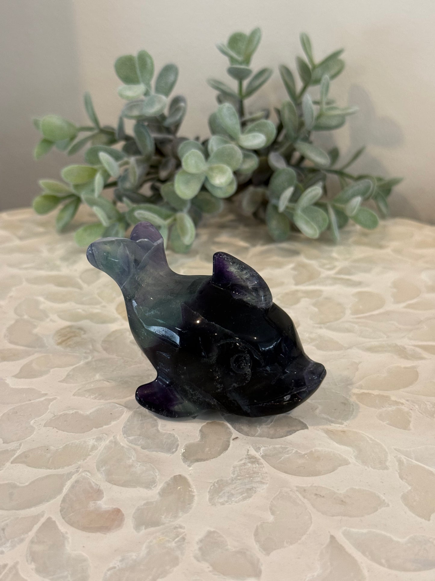 Rainbow Fluorite Dolphin