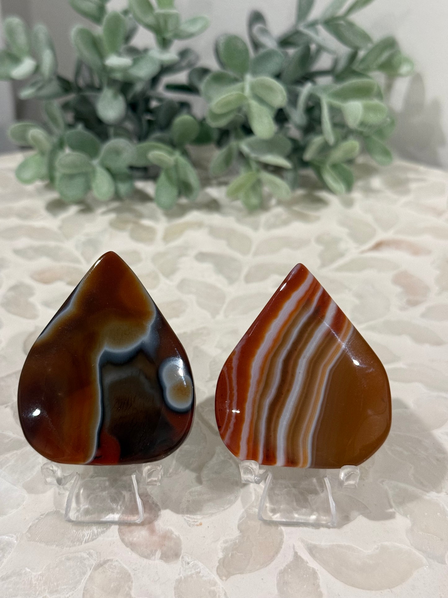 Carnelian Freeform - Small
