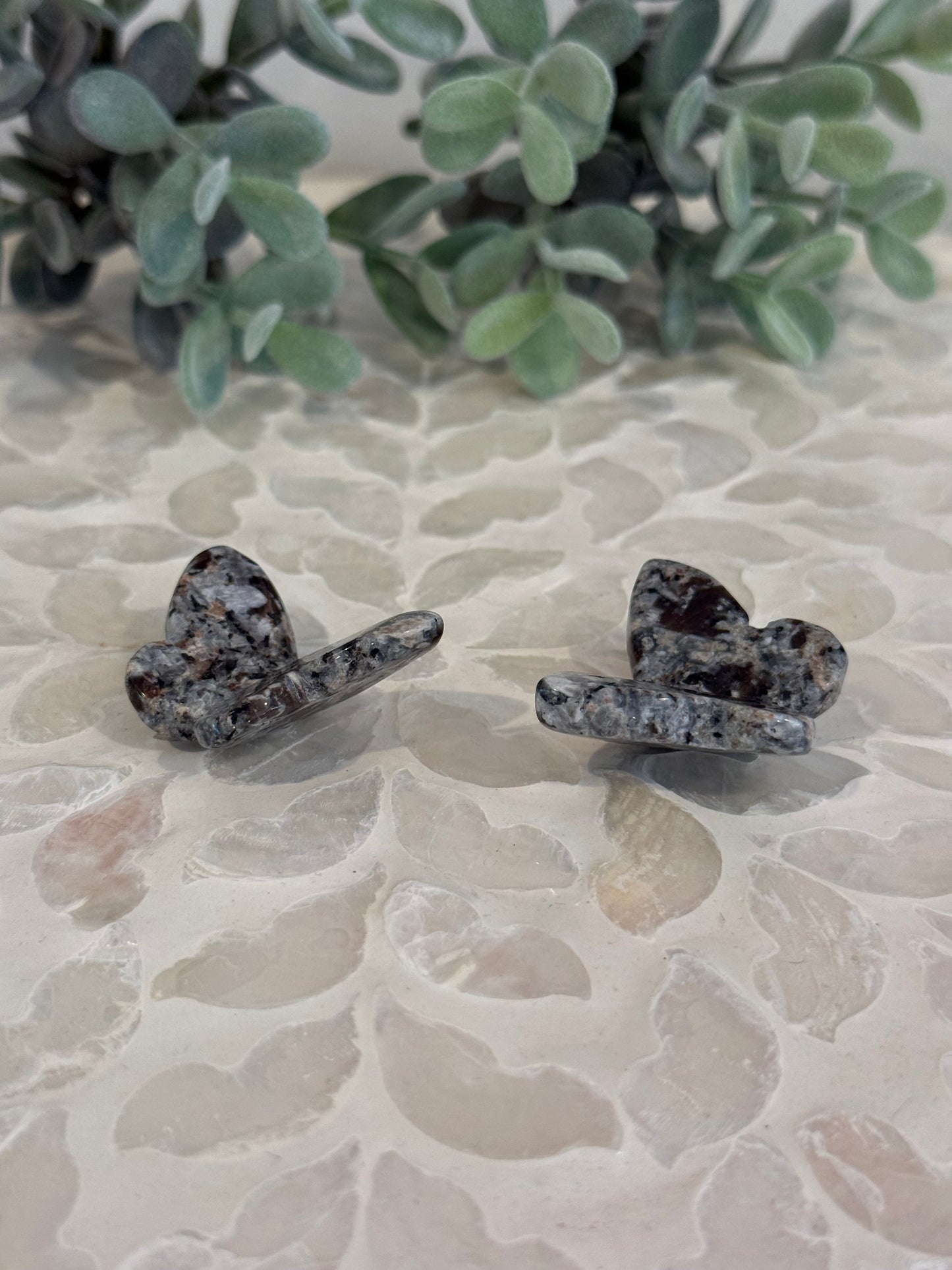 Crazy Lace 3D Butterfly