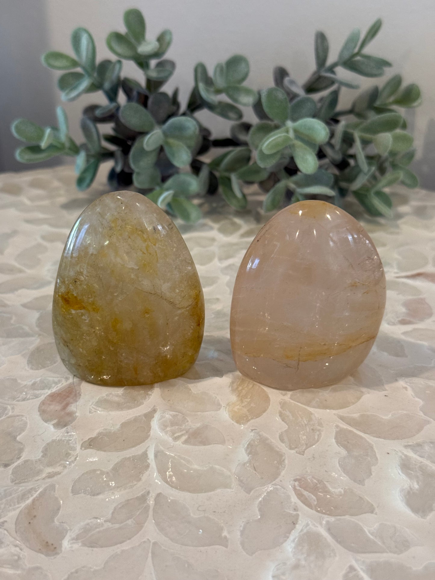 Golden Healer Freefroms