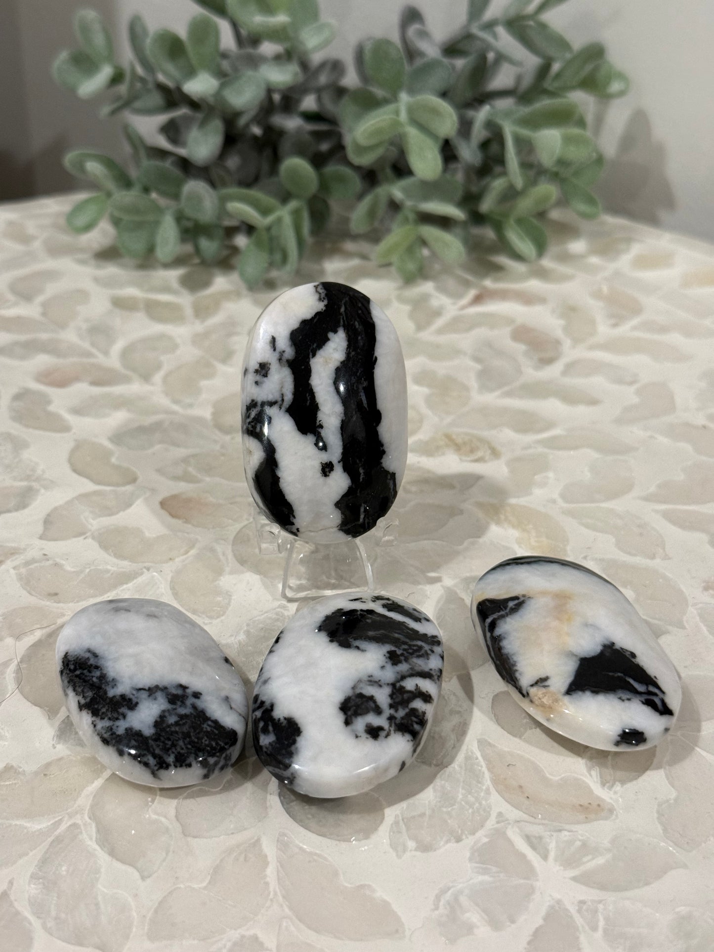 Zebra Jasper Palm Stone