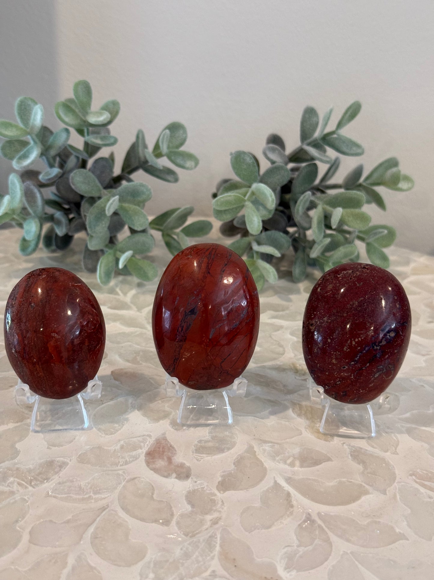Petrified Wood Palm Stones