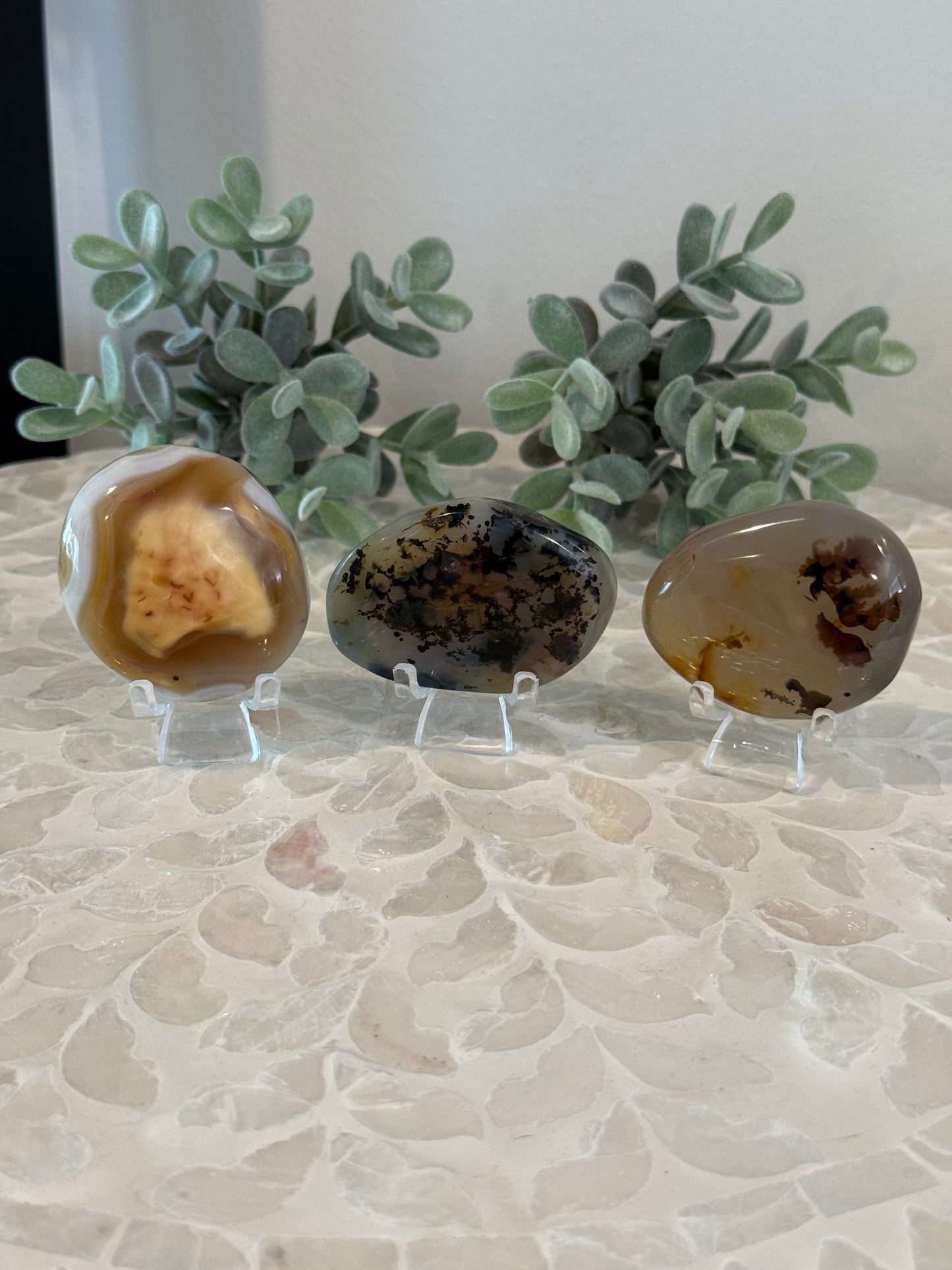 Dendritic Agate Palm Stones
