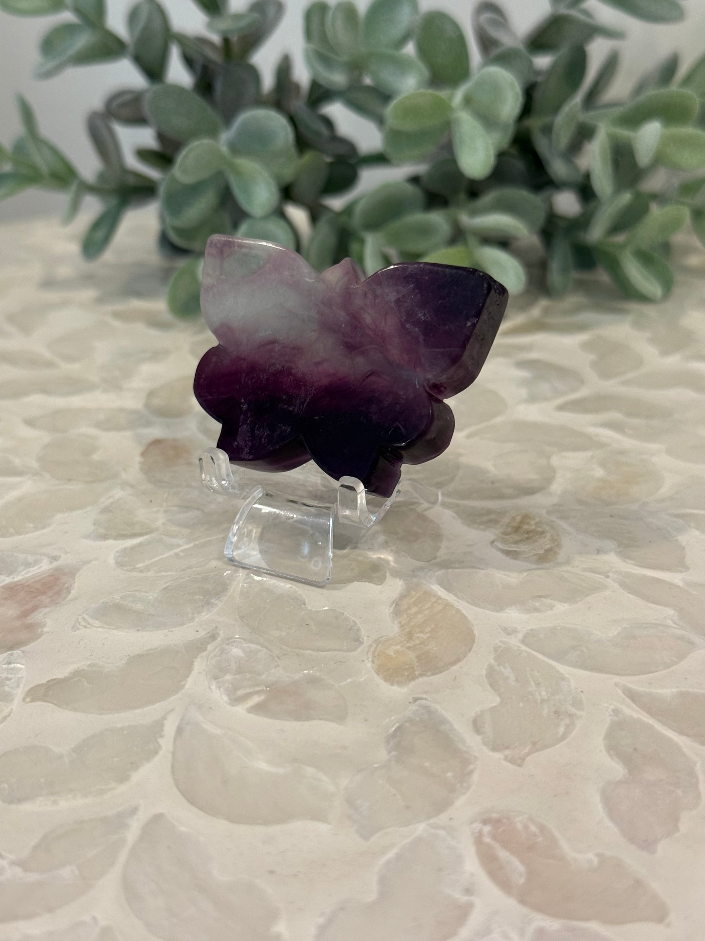 Green and Purple Fluorite Butterfly