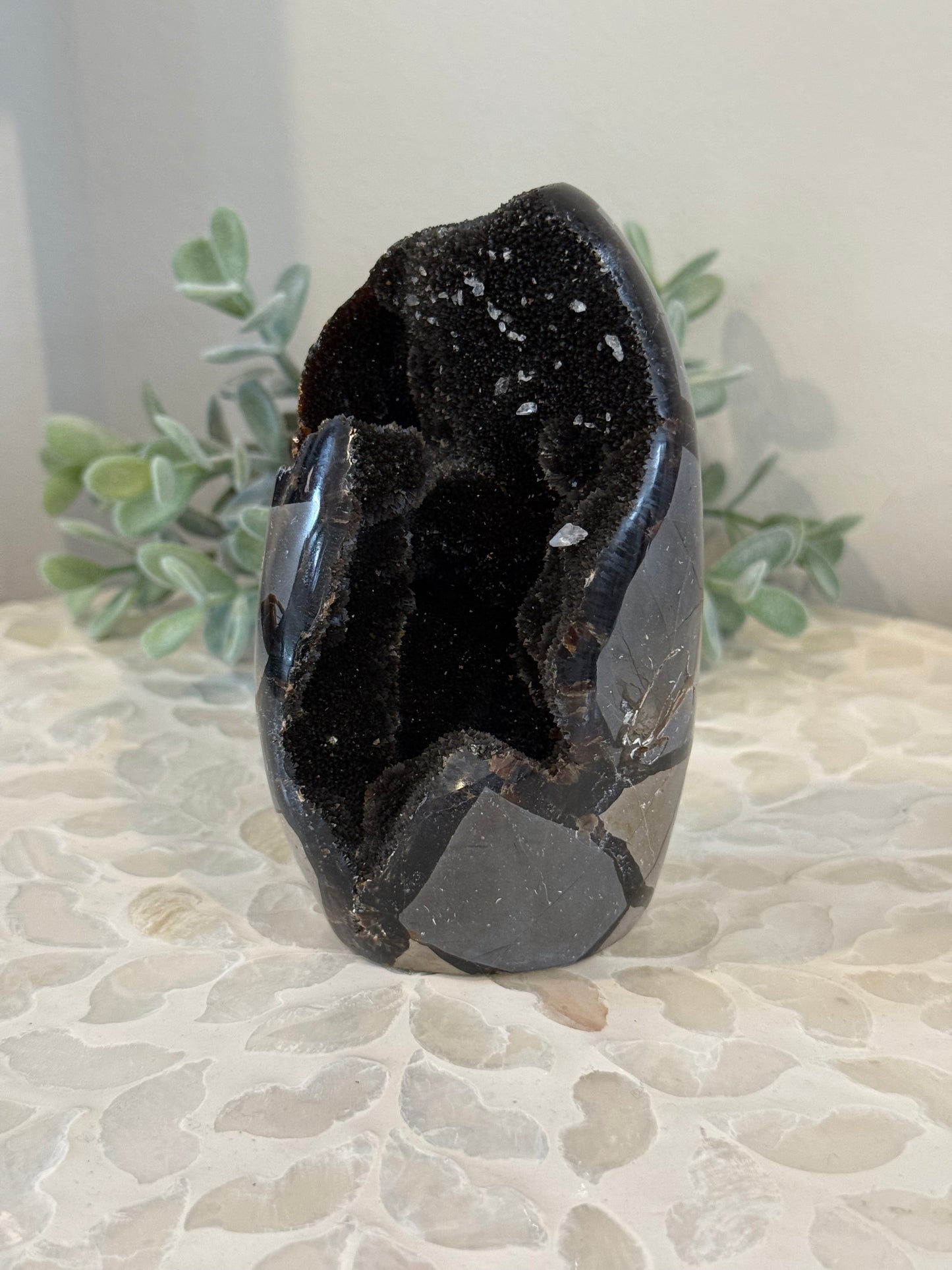 Septarian Freeform with Calcite