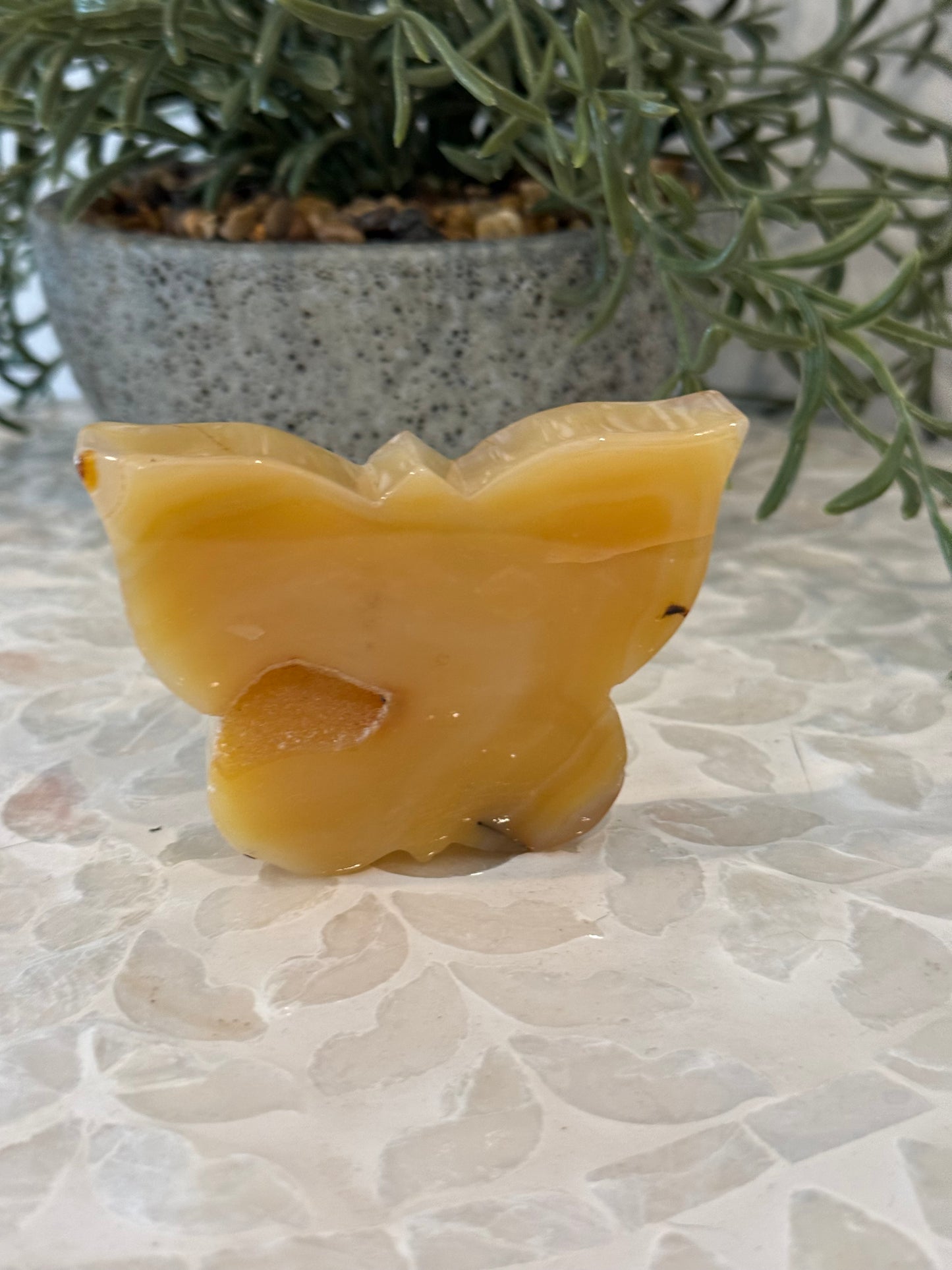 Yellow Druzy Agate Butterfly - Freestanding