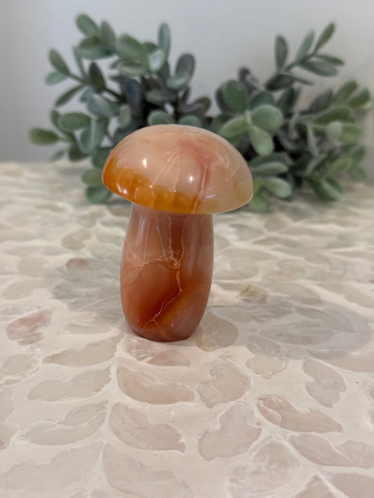 Carnelian Mushroom