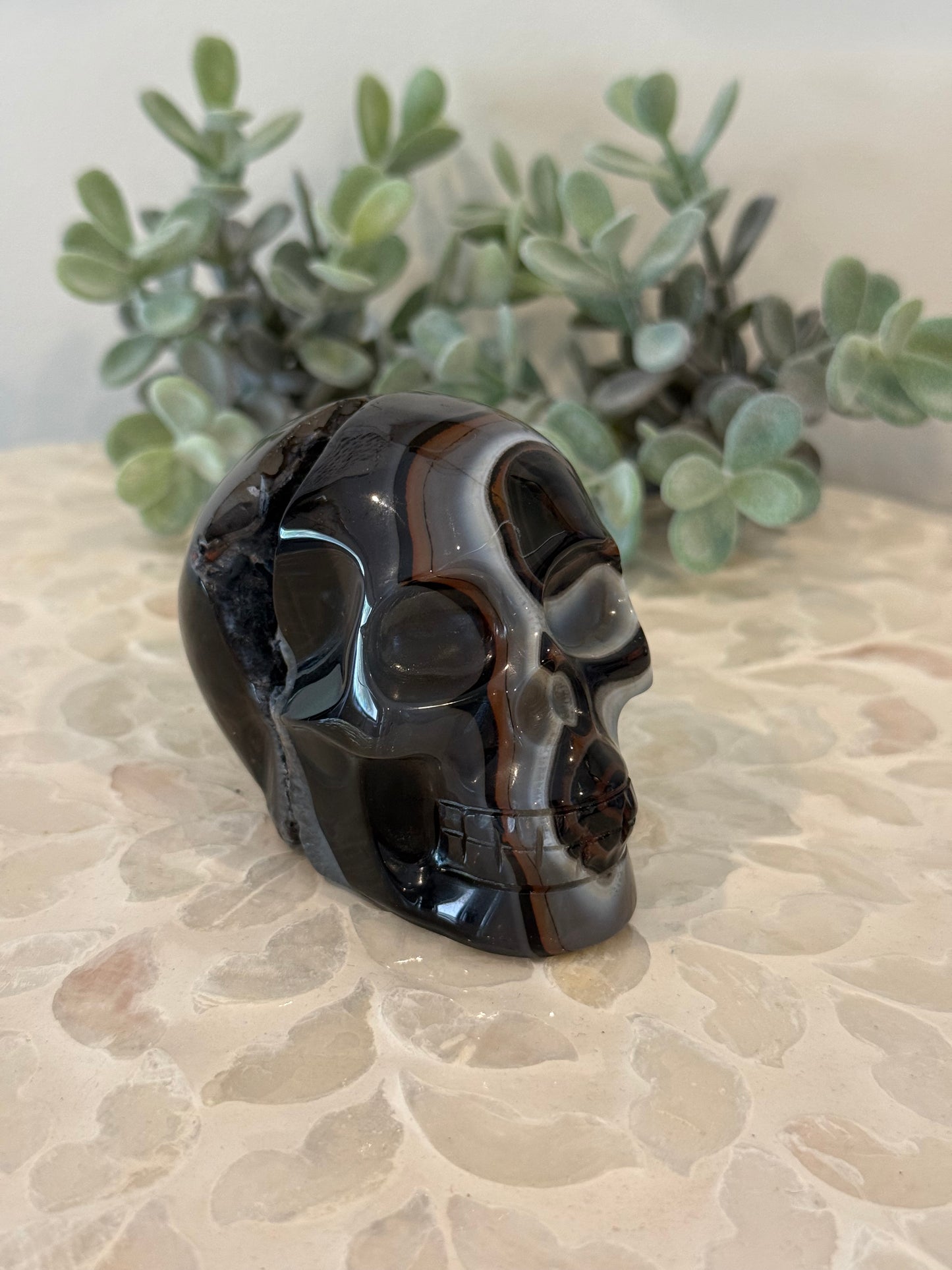 Sardonyx Skull