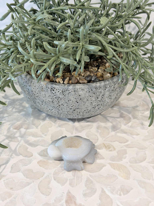 Druzy Agate Turtle