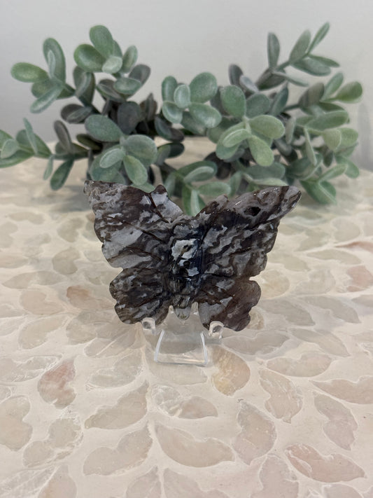 Agate Butterfly