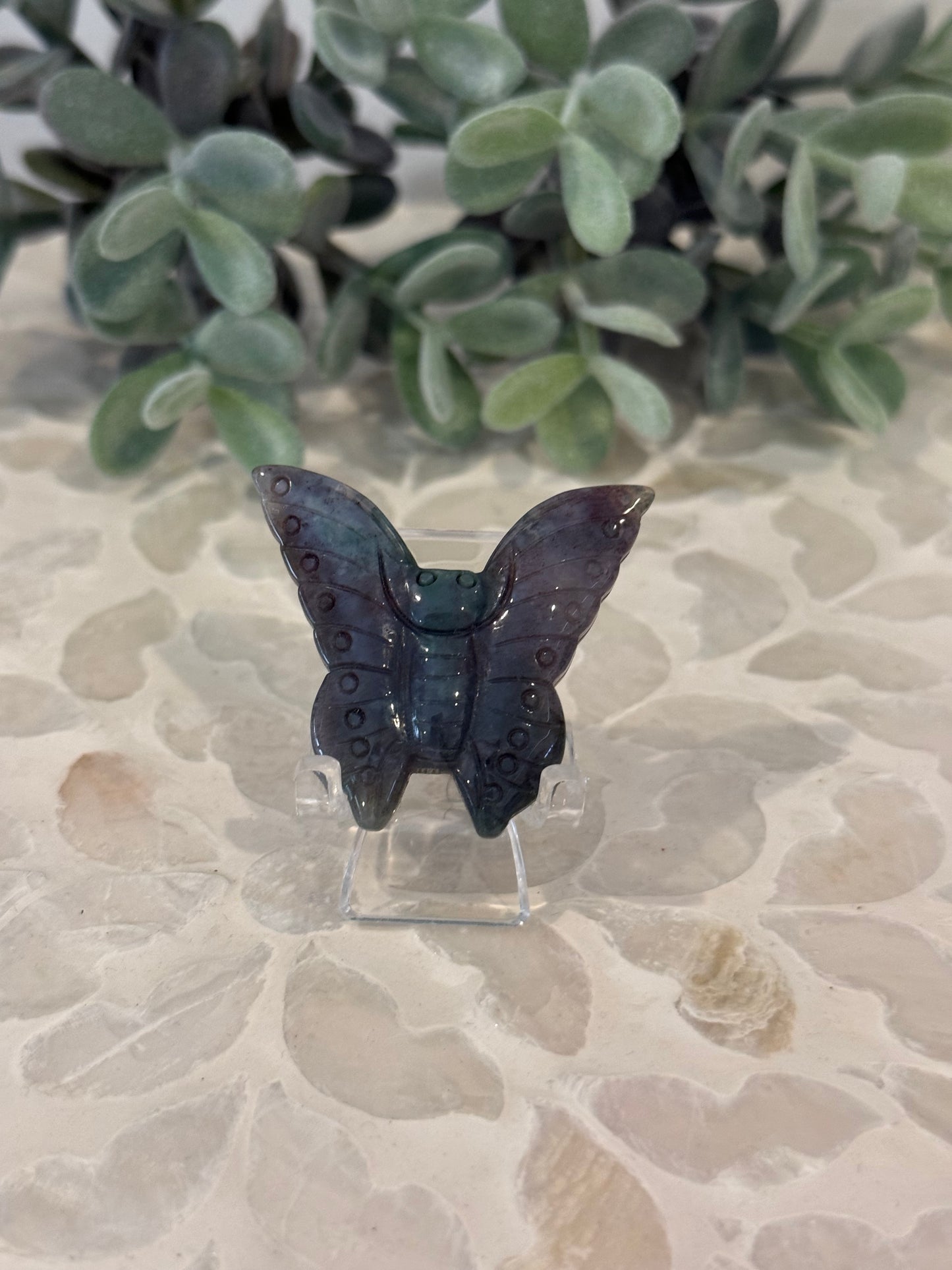 Ocean Jasper Butterfly