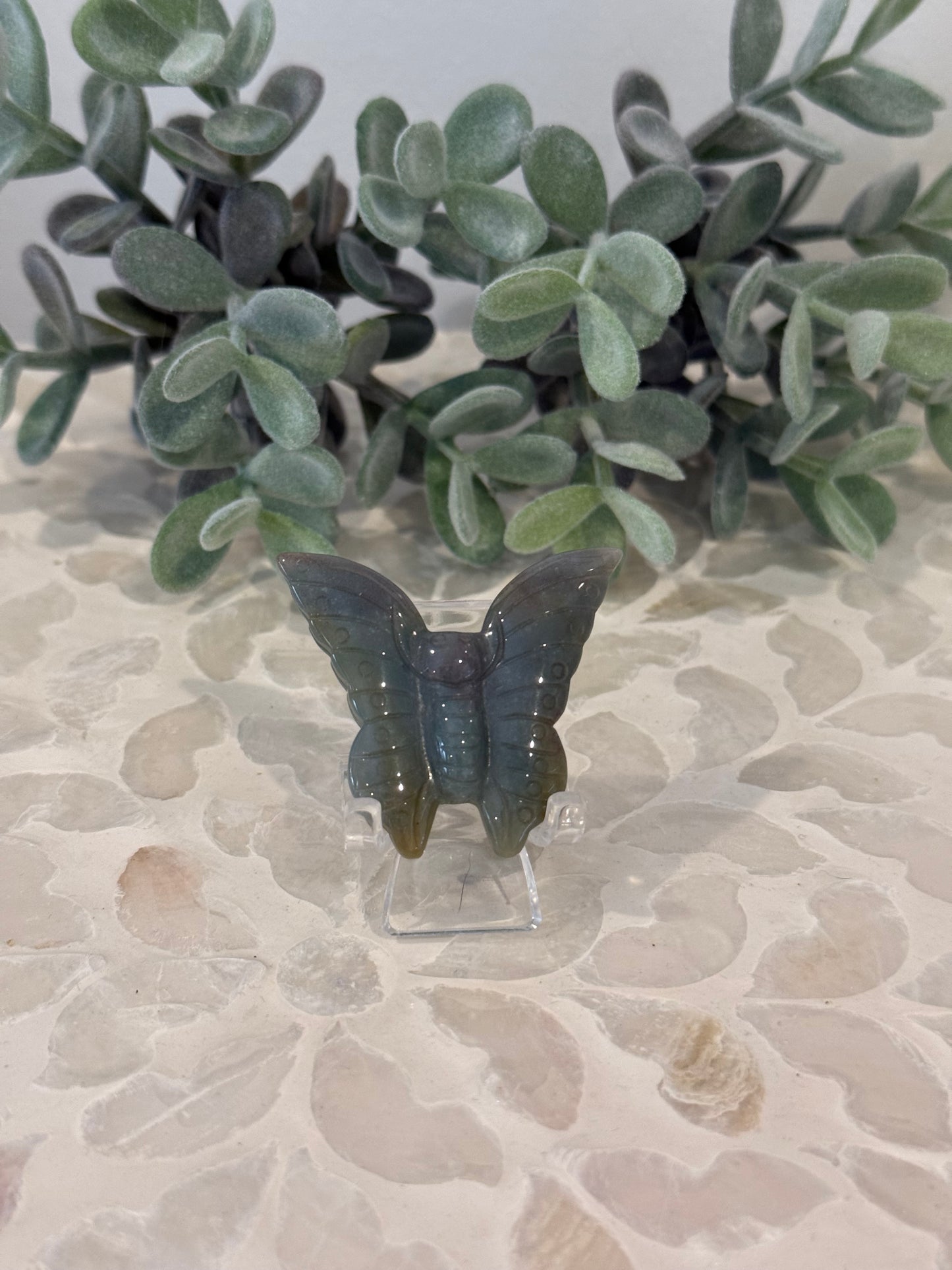 Ocean Jasper Butterfly