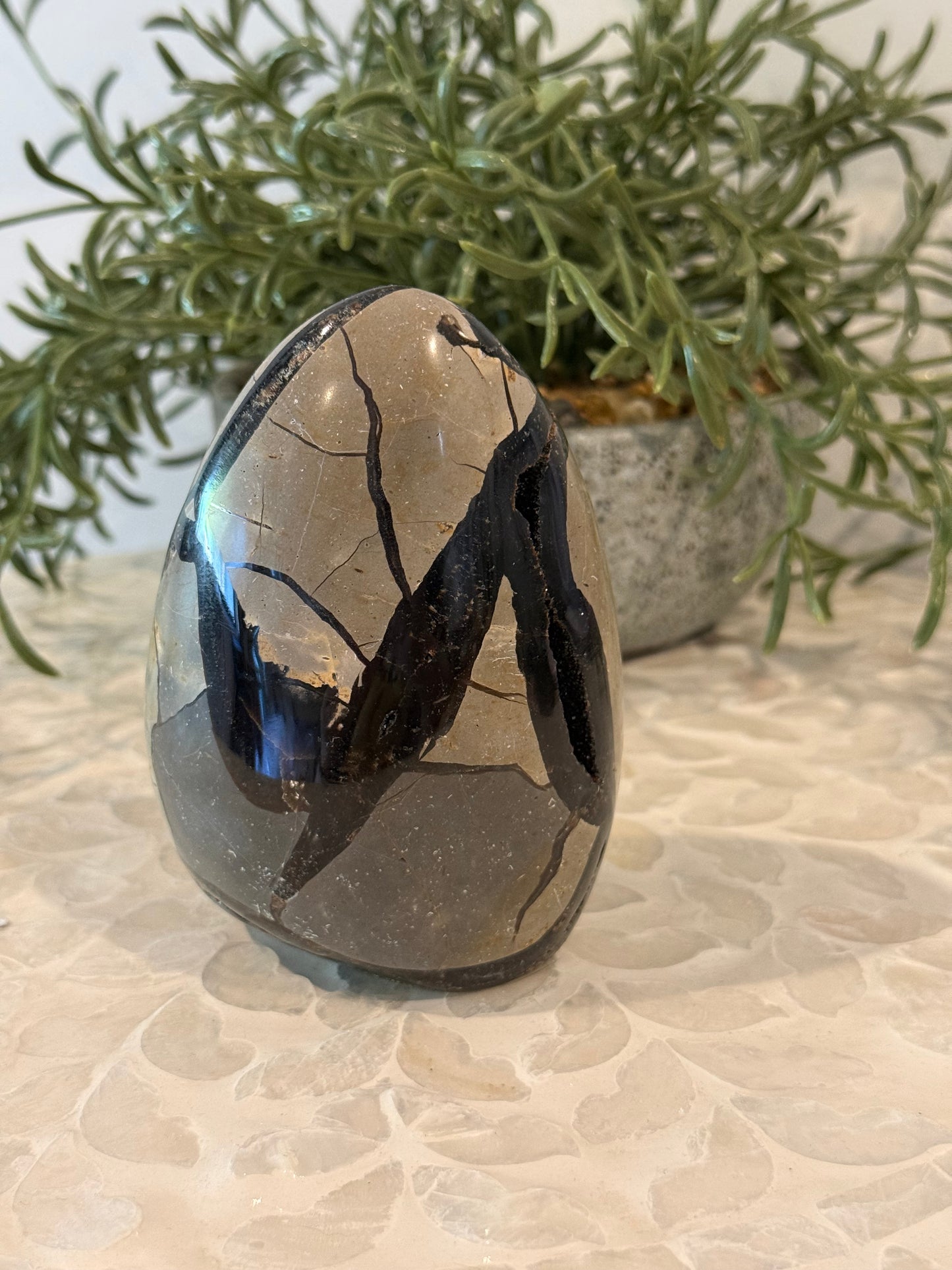 Septarian Freeform