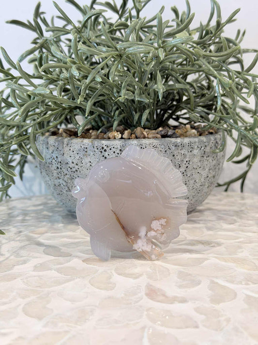 Flower Agate Fish