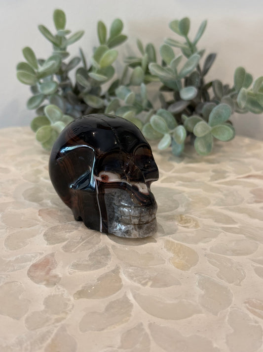 Sardonyx Skull