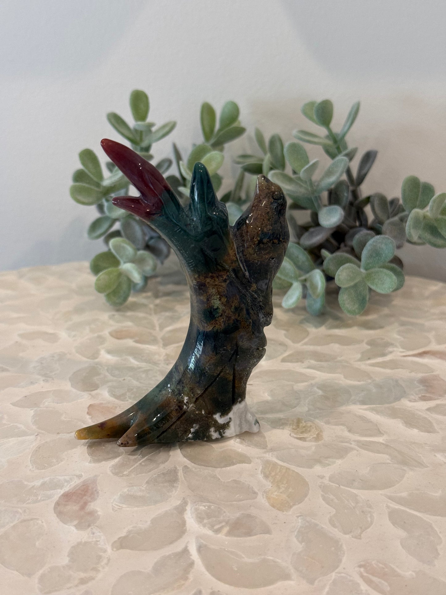 Ocean Jasper Bird in Tree