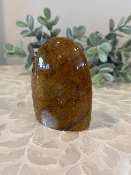 Golden Healer Freeform