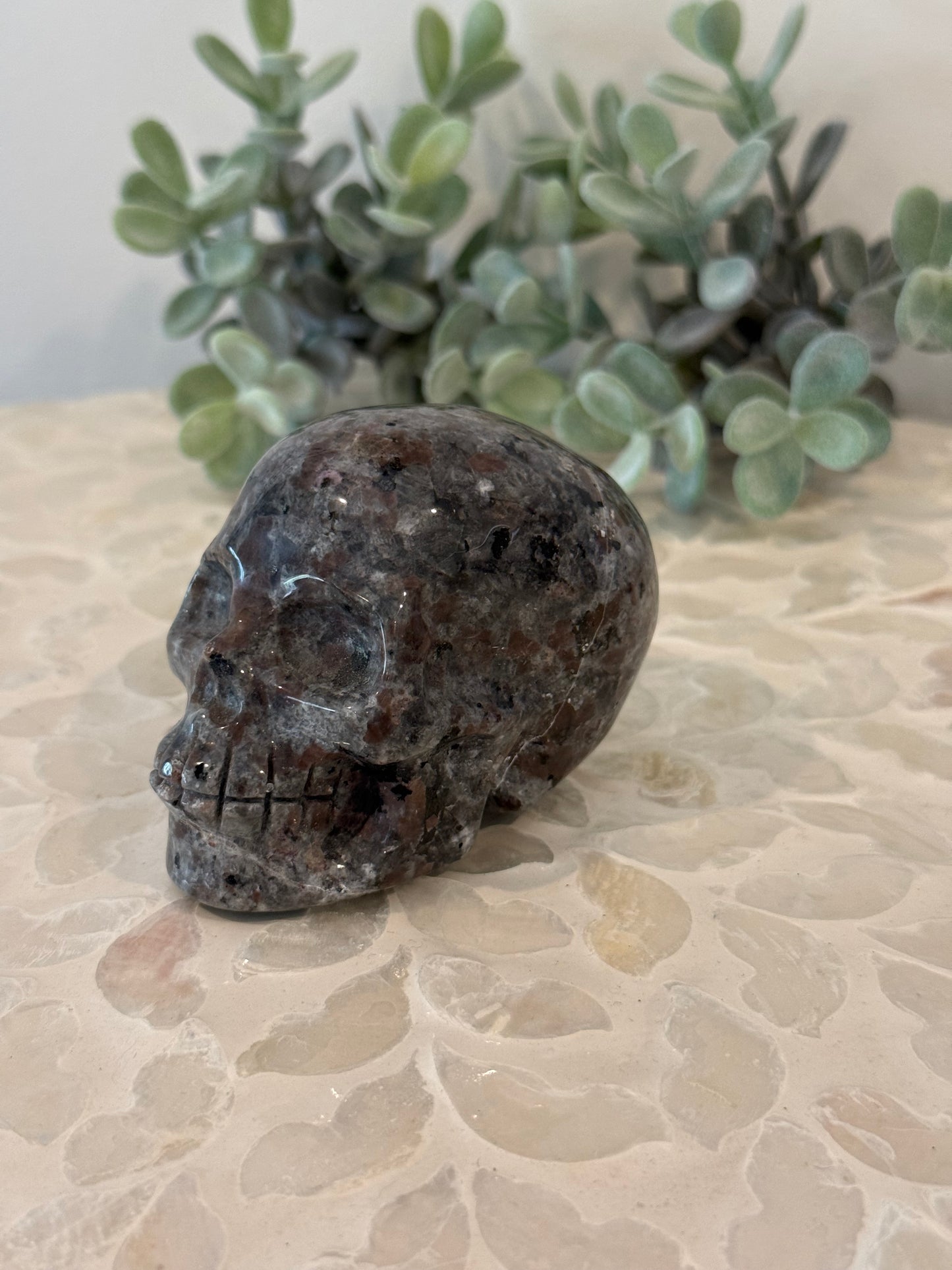 Yooperlite Skull