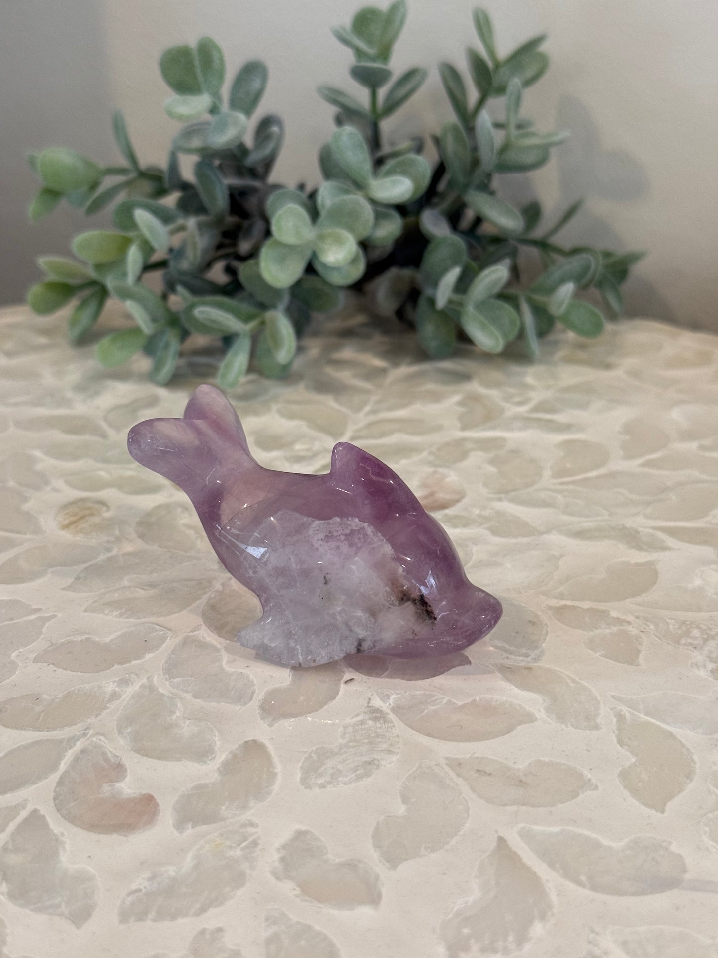 Purple Fluorite Dolphin
