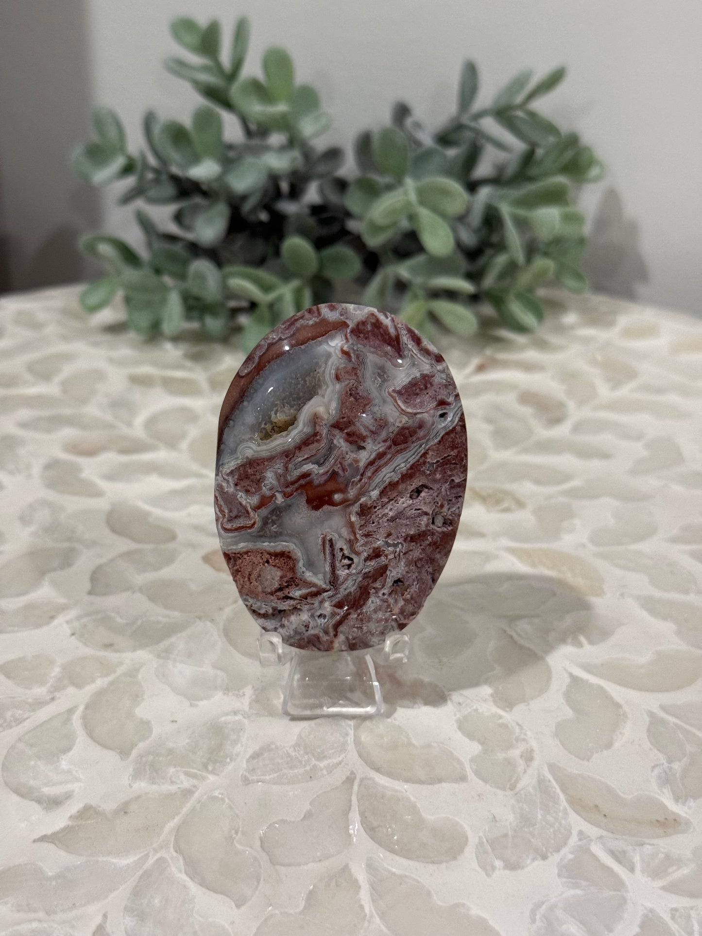 Crazy Lace Palm Stones