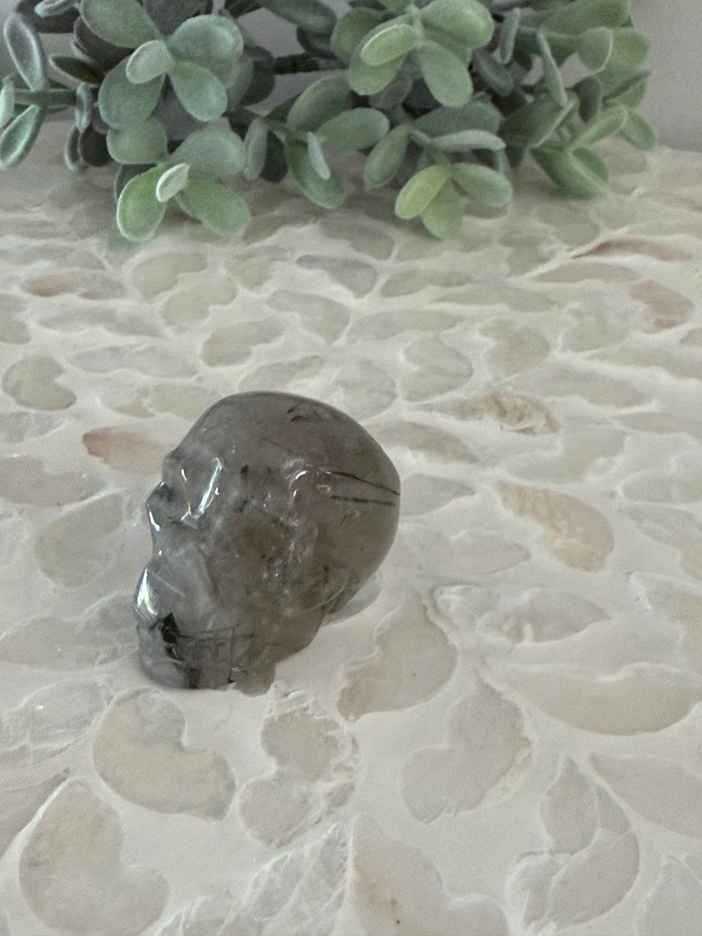 Tourmaline in Quartz Skull