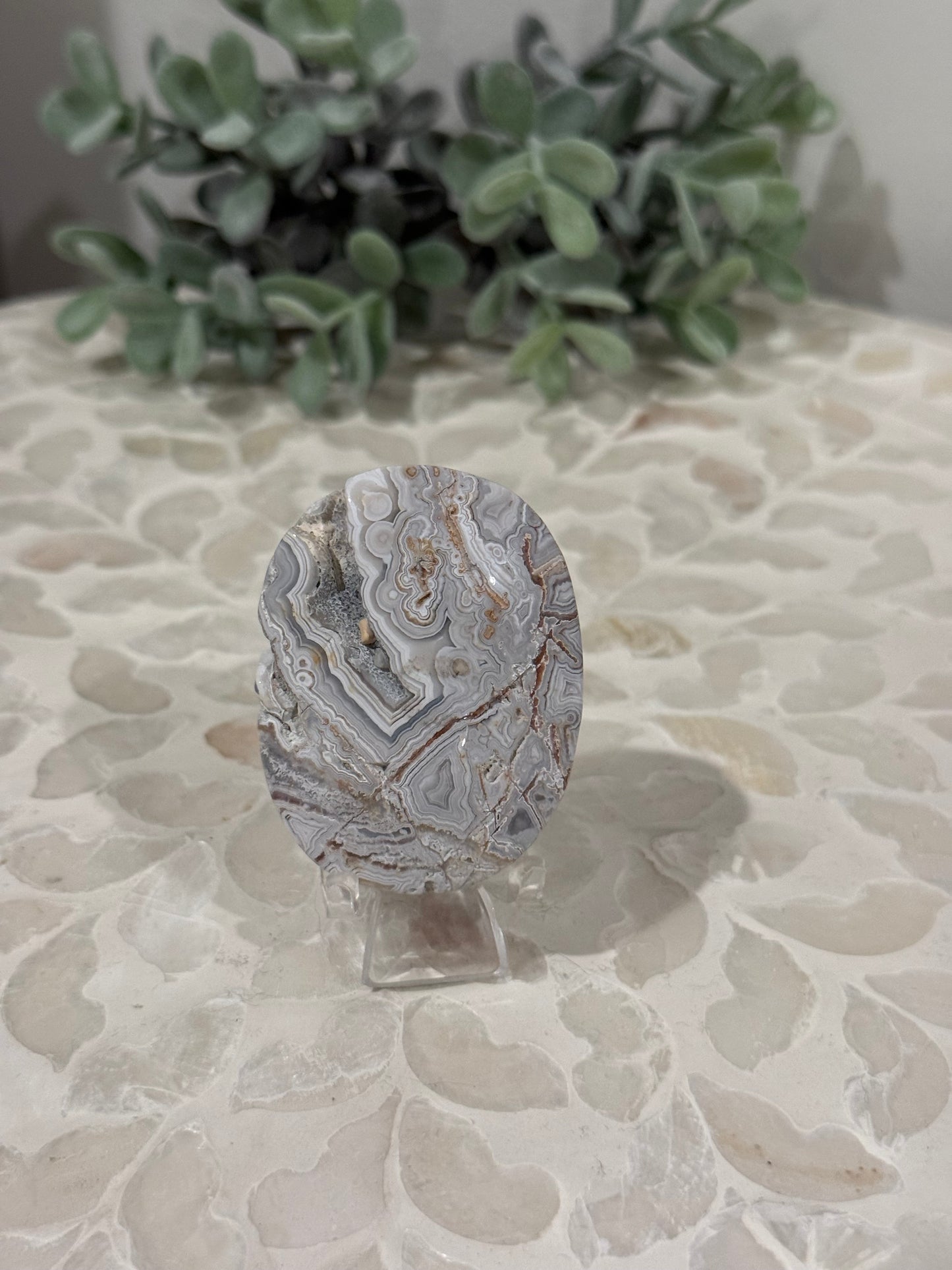 Crazy Lace Palm Stones