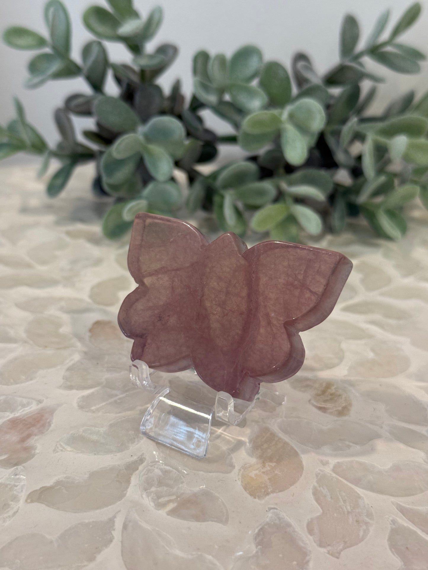 Purple Fluorite Butterfly
