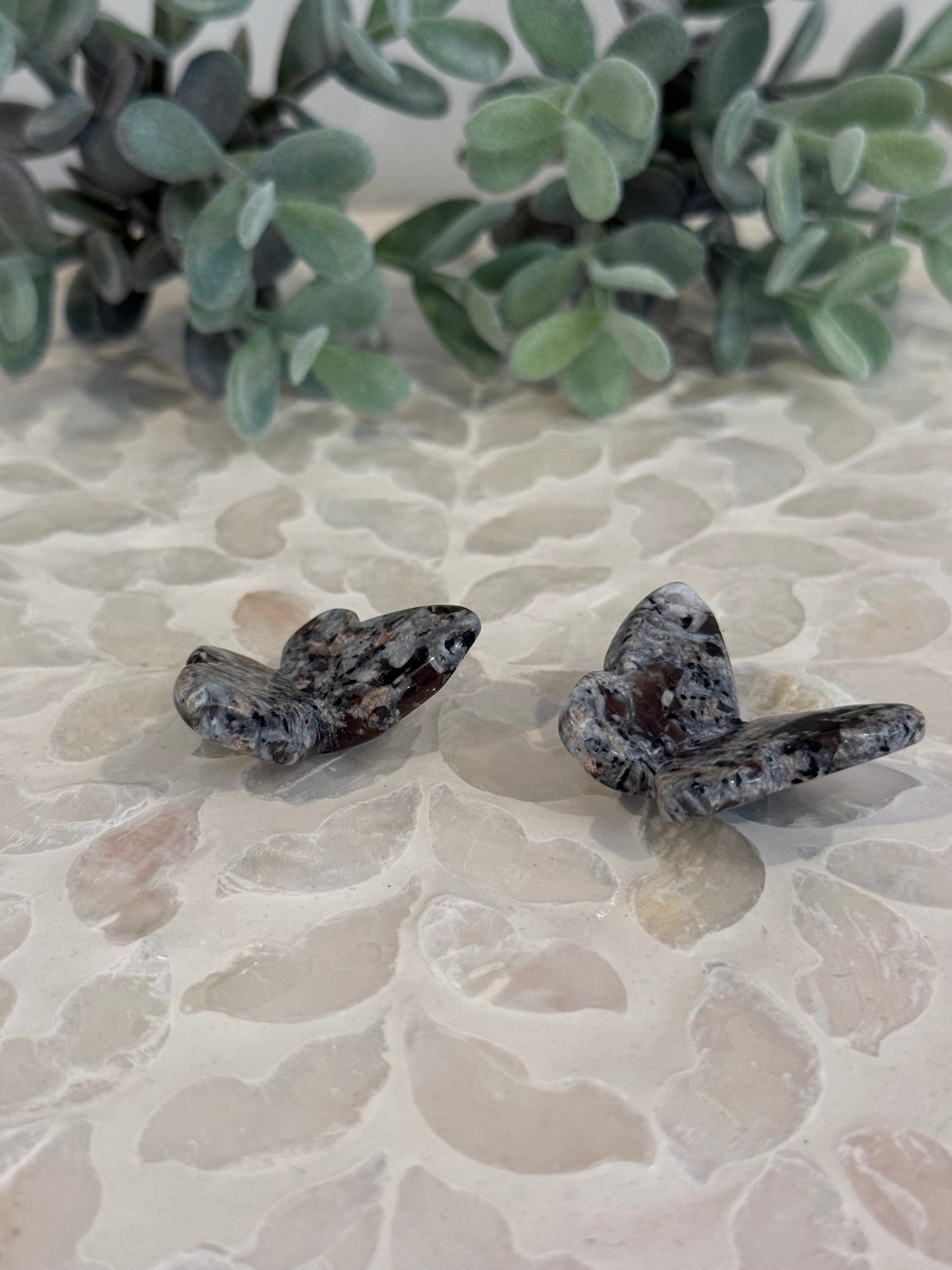 Crazy Lace 3D Butterfly