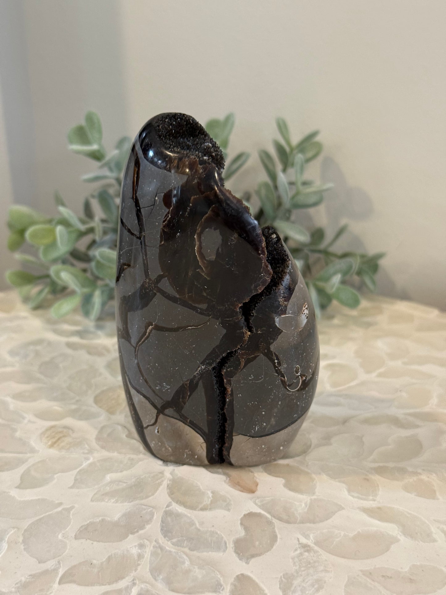 Septarian Freeform with Calcite