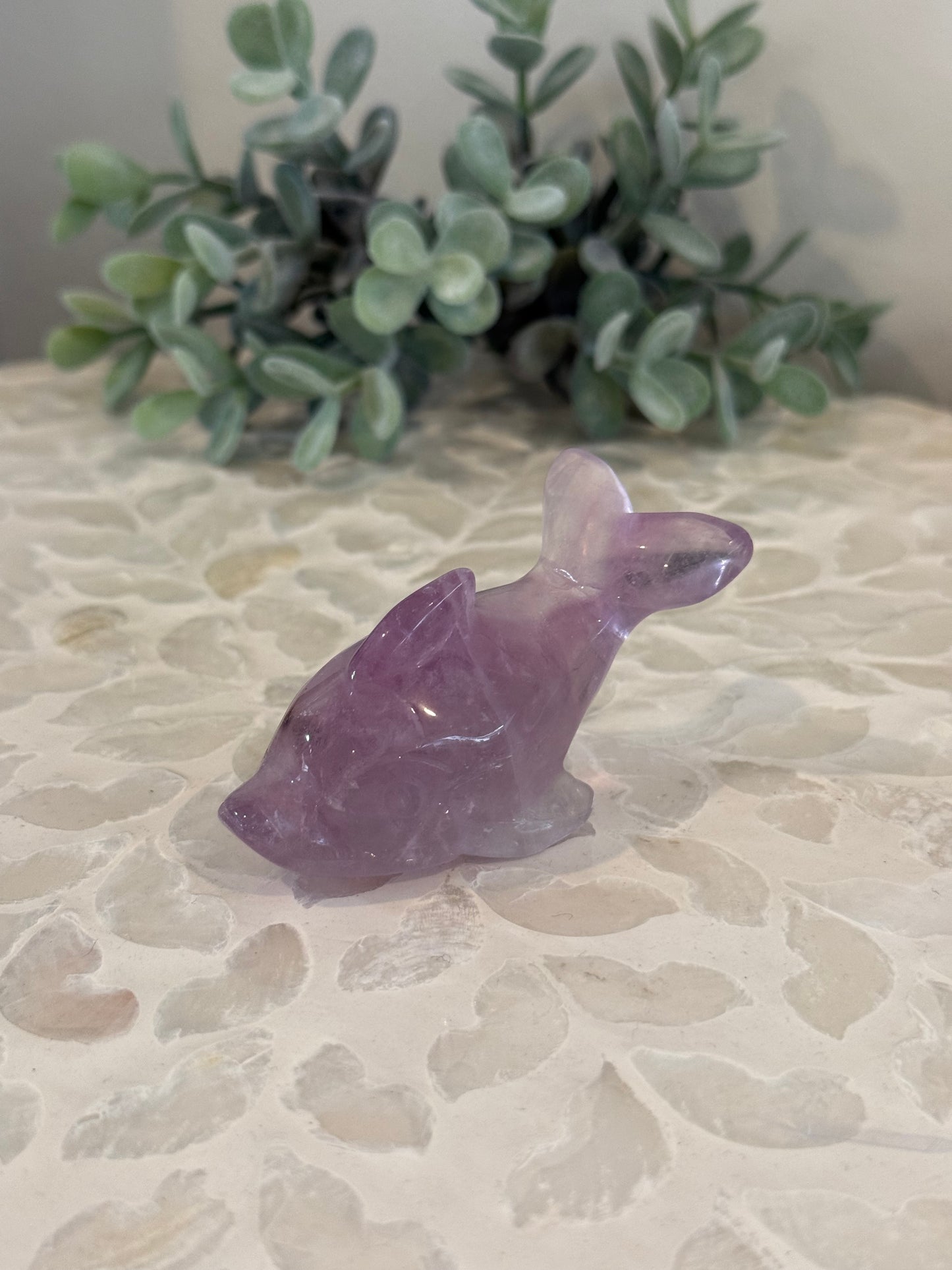 Purple Fluorite Dolphin