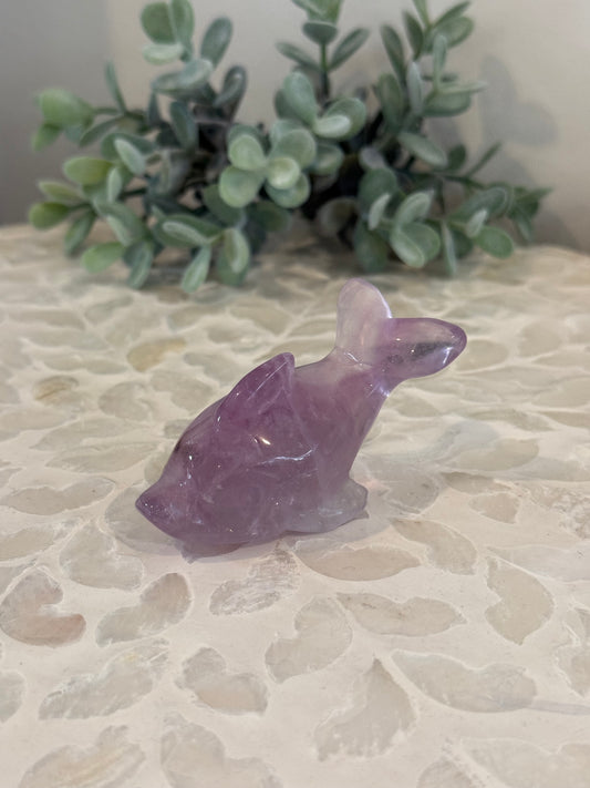 Purple Fluorite Dolphin