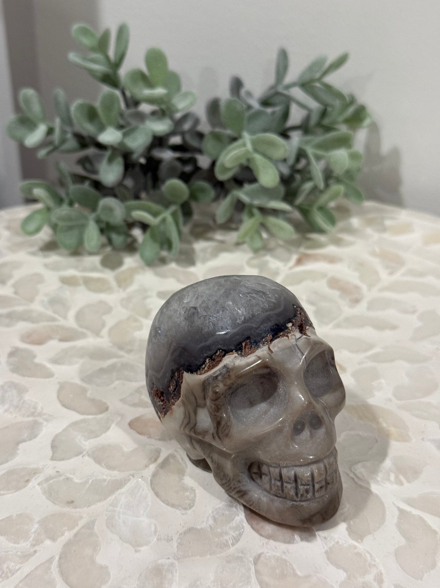 Volcano Agate Skull