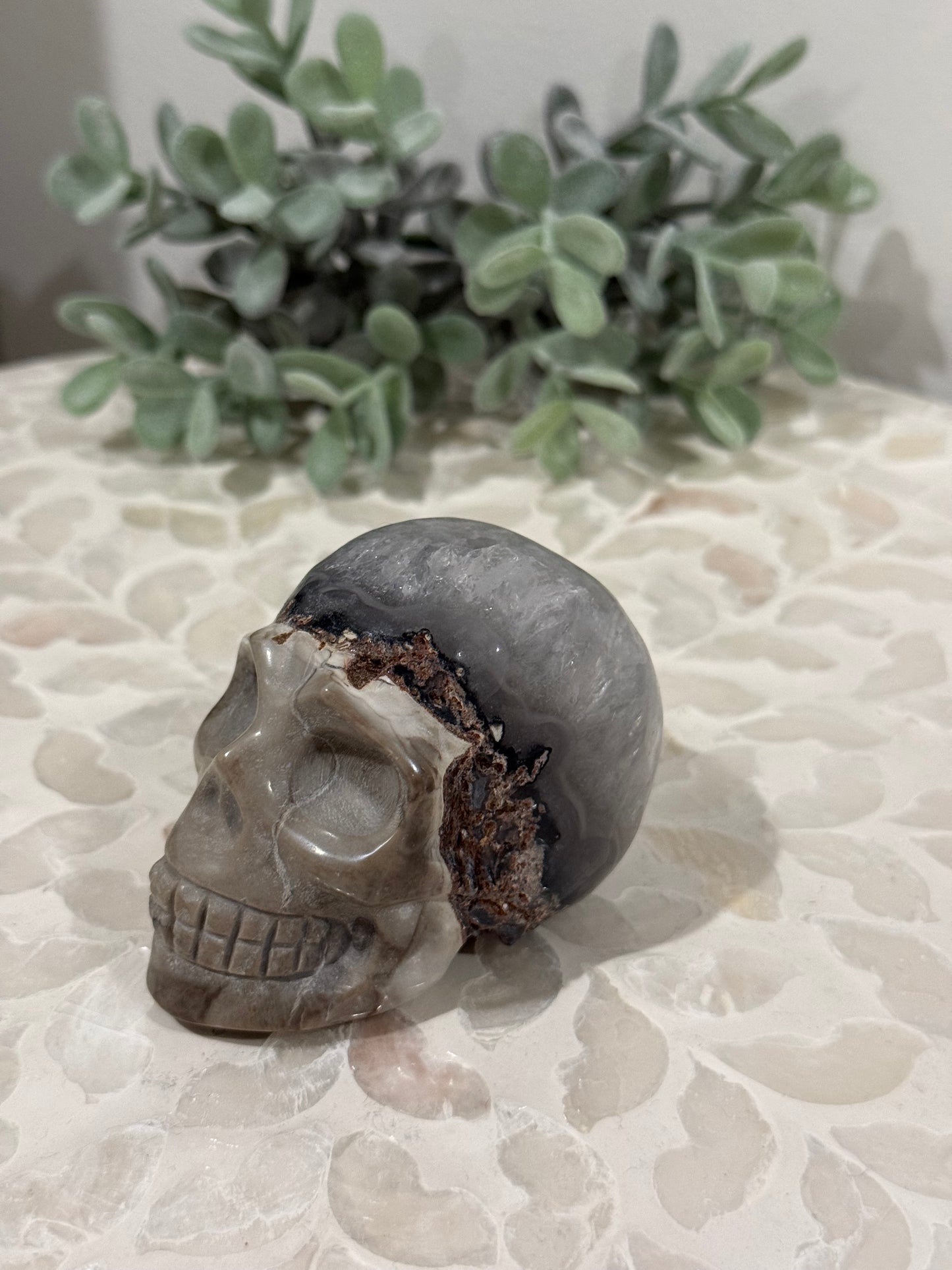 Volcano Agate Skull