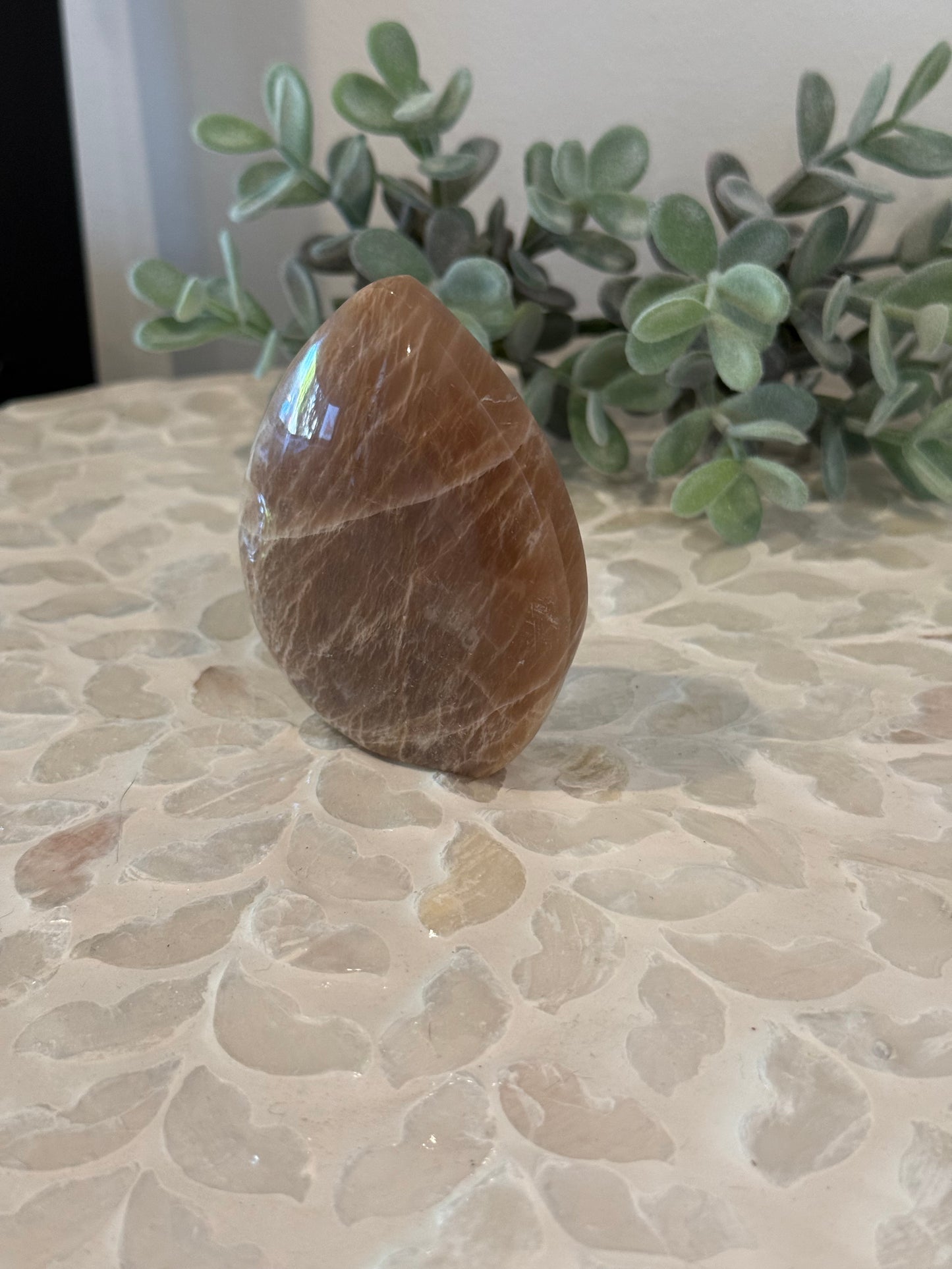 Peach Moonstone Teardrop Freeform