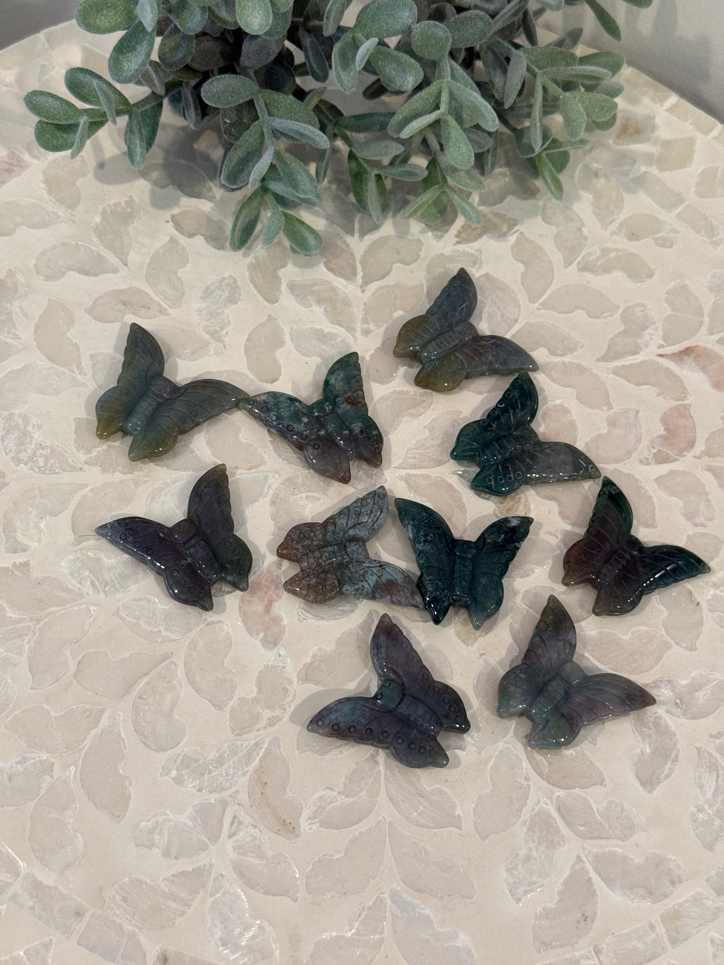 Ocean Jasper Butterfly