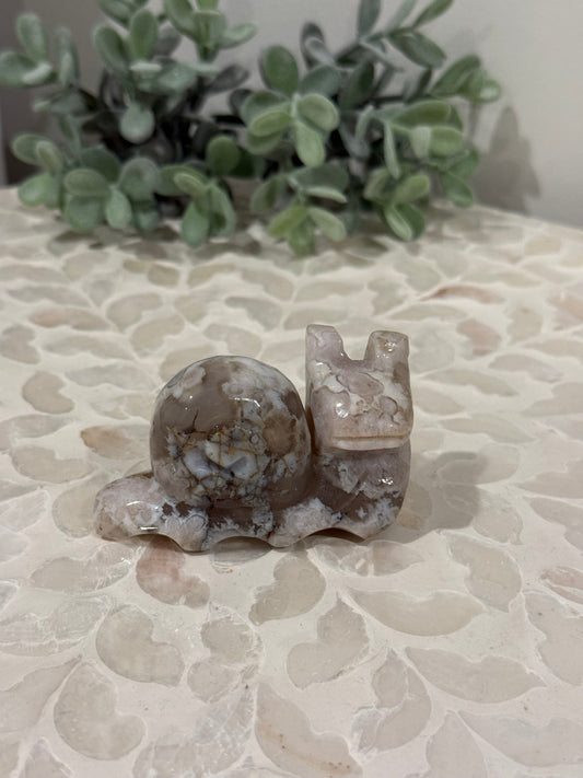 Flower Agate Snail