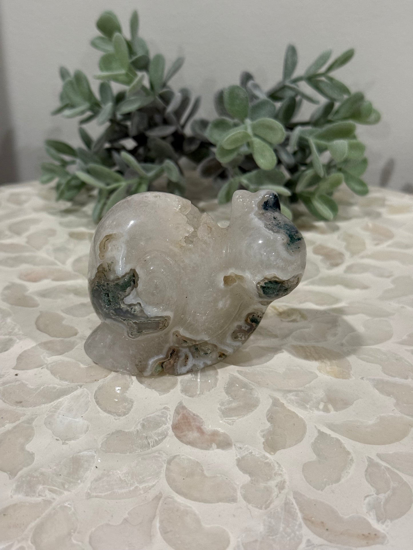 Moss Agate Snail