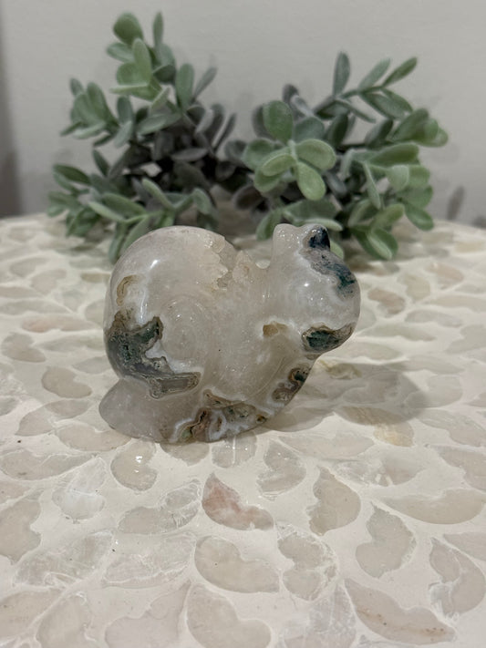 Moss Agate Snail