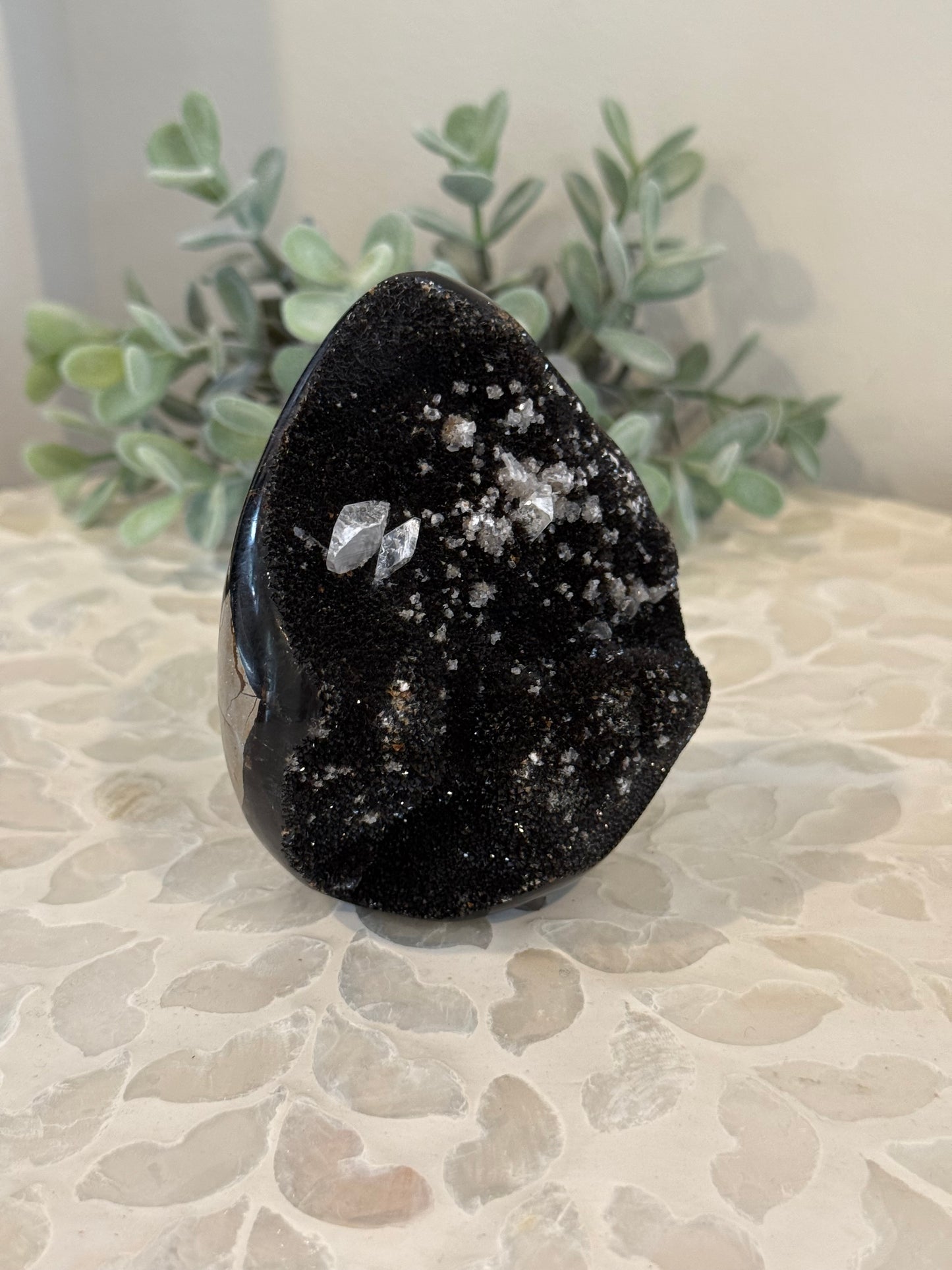 Septarian Freeform with Calcite